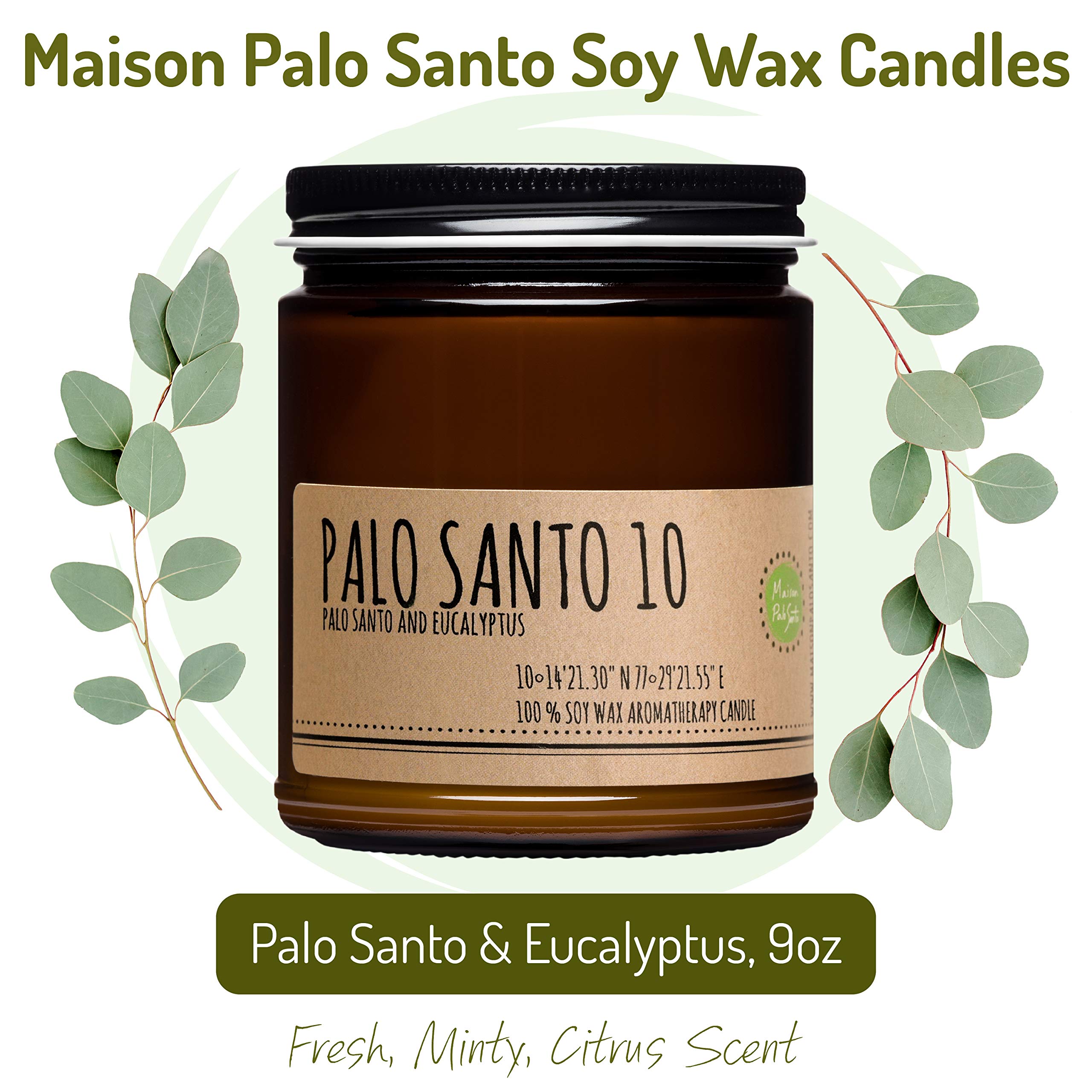 Natural Soy Wax Candle with Palo Santo & Eucalyptus - Aromatherapy Smudge Candle for Stress Relief, Chakra Balancing, Meditation, Focus & Manifestation (9 oz) - Perfect for Yoga, Spa, Home Relaxation & Spiritual Practices