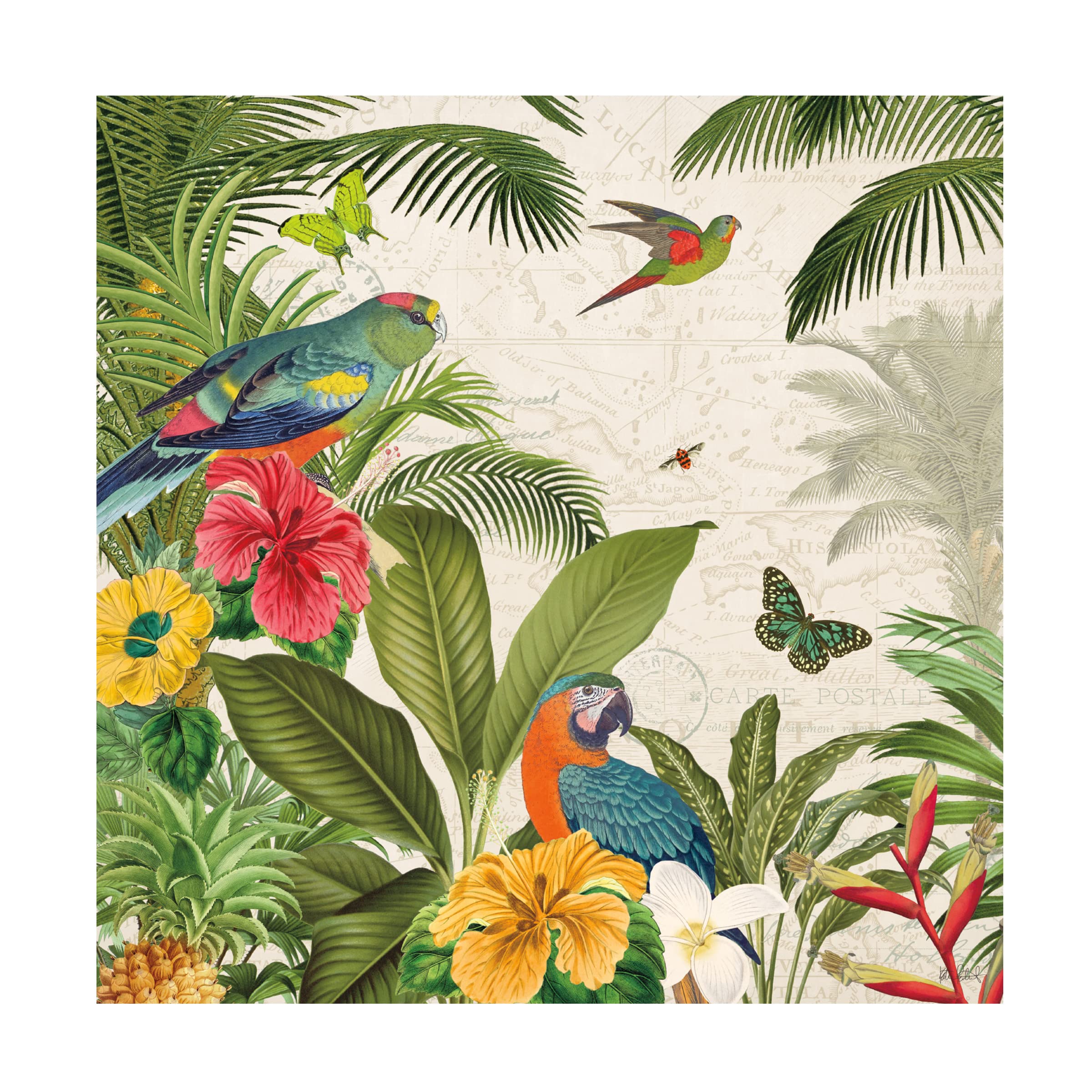 Katie Pertiet 'Parrot Paradise II' Canvas Wall Art Print - Tropical Bird Painting for Living Room, Bedroom & Office Decor