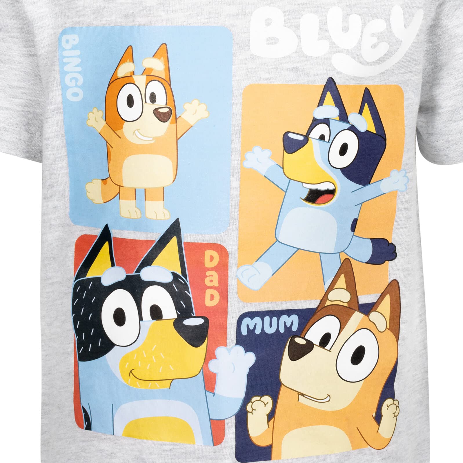 Bluey 2 Pack Kids T-Shirts for Toddlers & Little Boys - Soft Cotton Cartoon Character Tees for Playtime, School & Family Outings