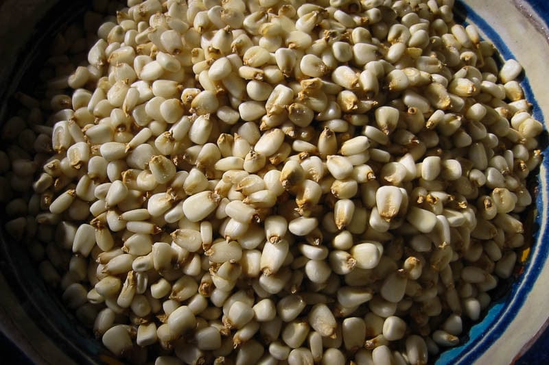 Rancho Gordo Premium White Corn Posole - Ready-to-Cook Hominy - 1 lb Bag - Authentic Mexican Pozole Ingredient for Soups & Stews