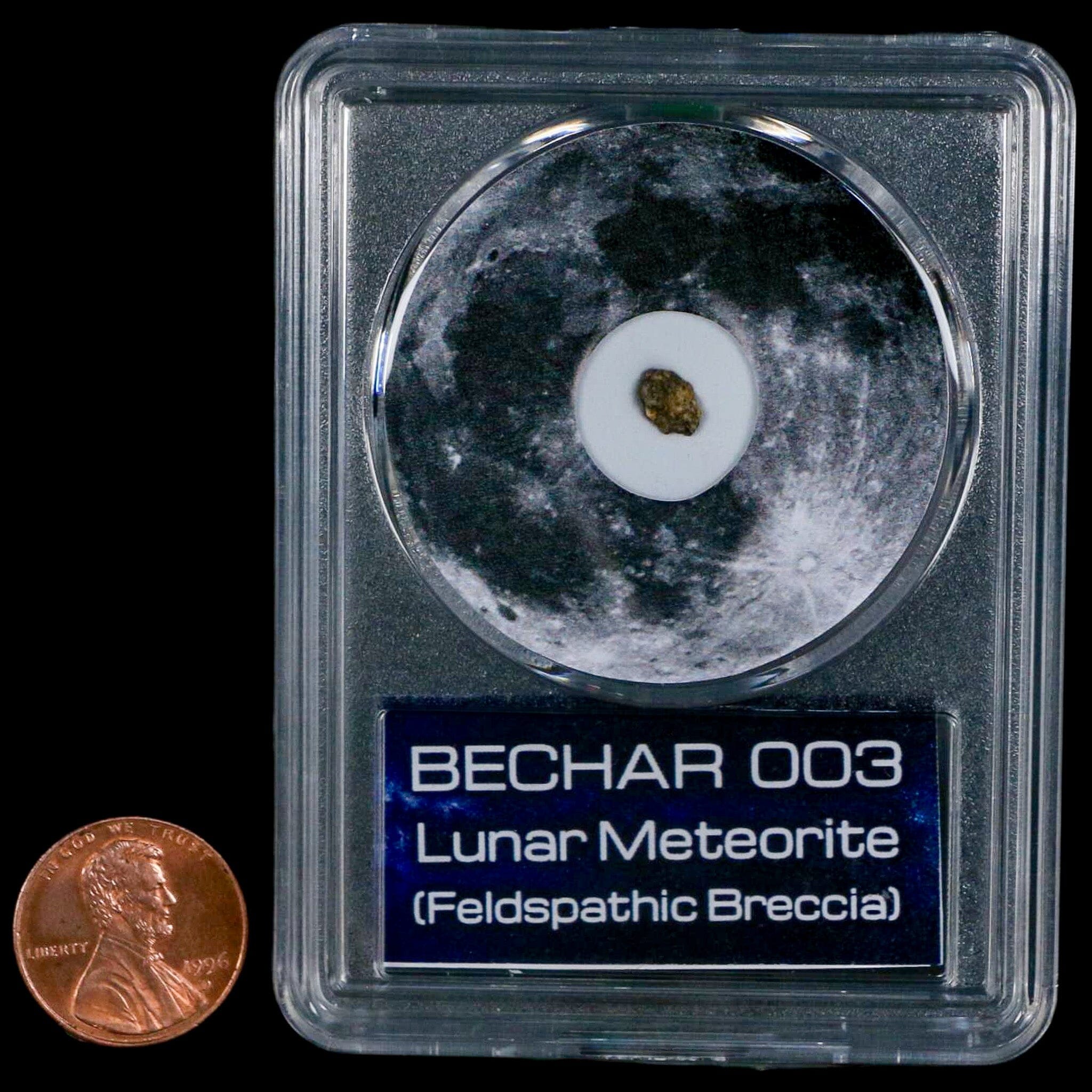 Authentic Moon Rock Lunar Meteorite Bechar 003 - Rare Algerian Sahara Desert Discovery (2022) with COA - Perfect for Space Collectors, Science Museums & Astronomy Enthusiasts