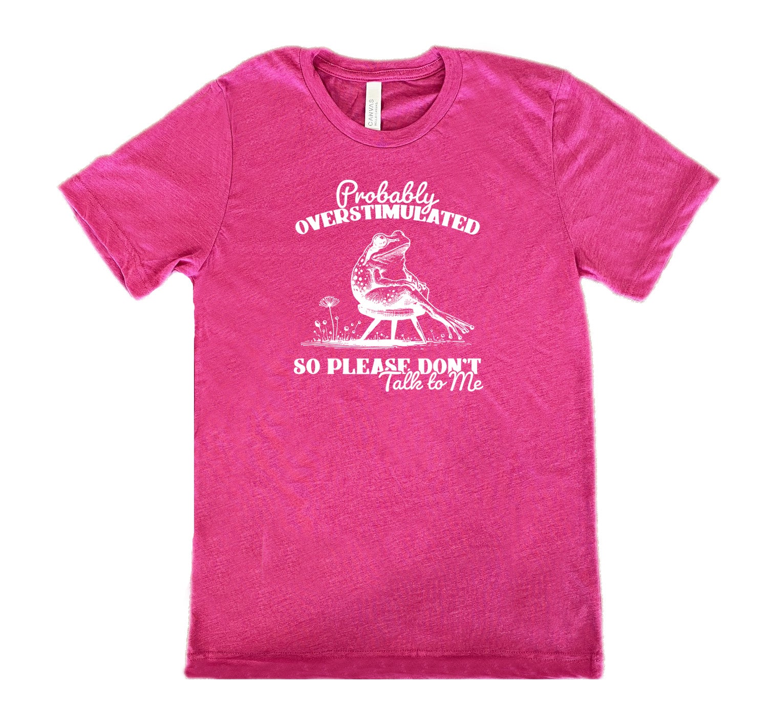 Probably Overstimulated So Please Don't Talk to Me Shirt - Unisex Graphic Tee for Autism Awareness, Sensory Sensitivity & Anxiety Relief - Comfortable Cotton Casual Wear for Adults