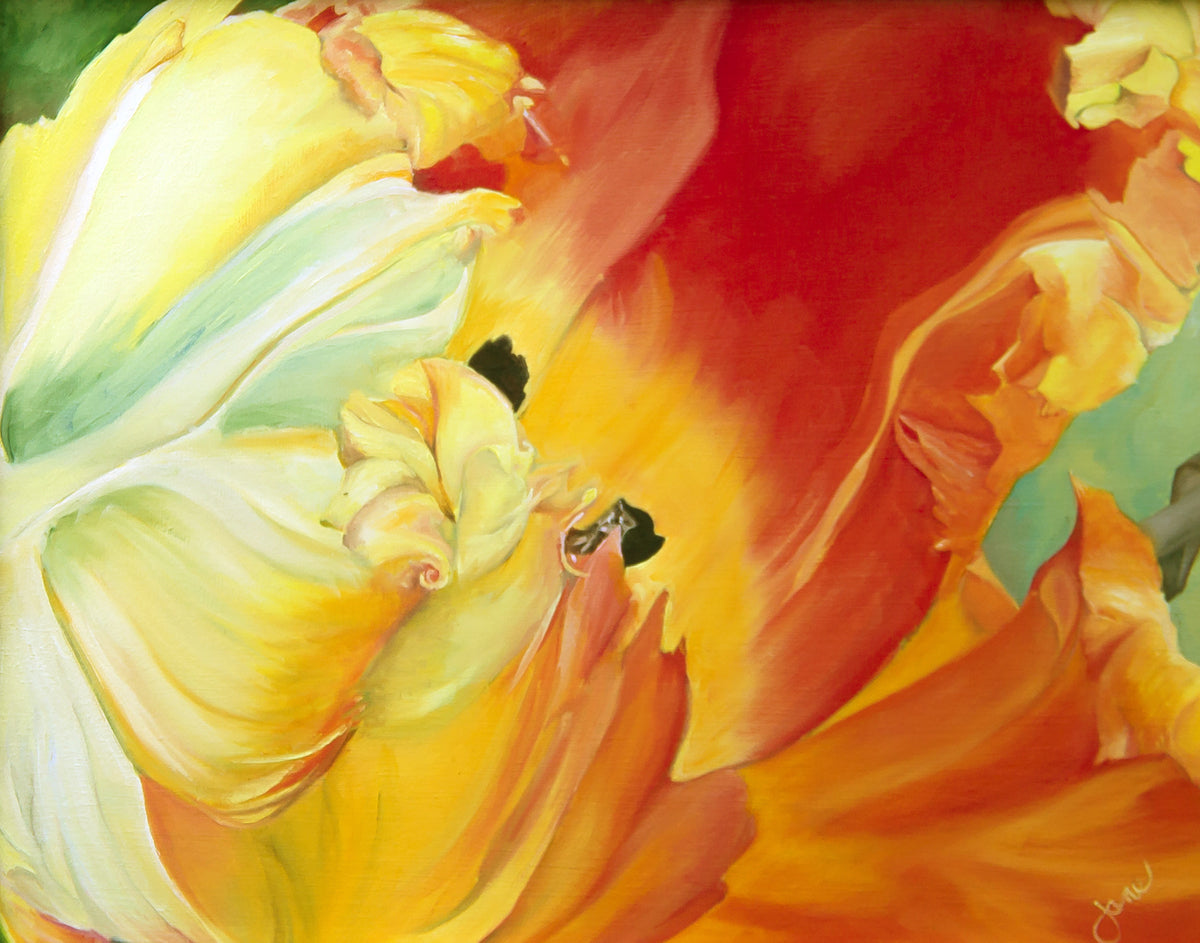 Beautiful Tulip Bouquet - Perfect Gift for Fiona | Fresh Flowers for Birthdays, Anniversaries & Special Occasions