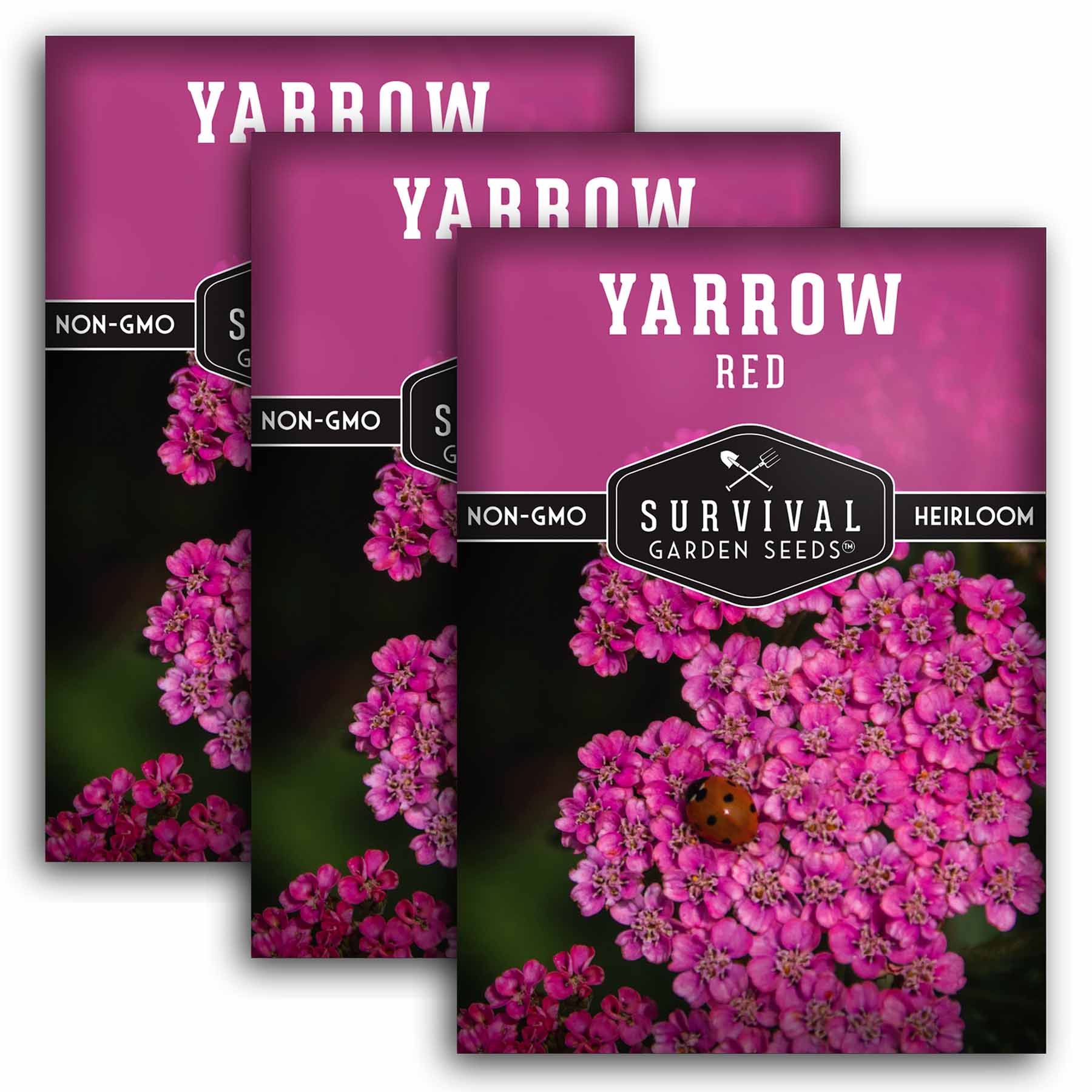 Organic Red Yarrow Seeds for Planting - Perennial Flower Seeds for Garden, Landscaping & Butterfly Gardens | Drought-Tolerant & Easy to Grow Wildflower Seeds