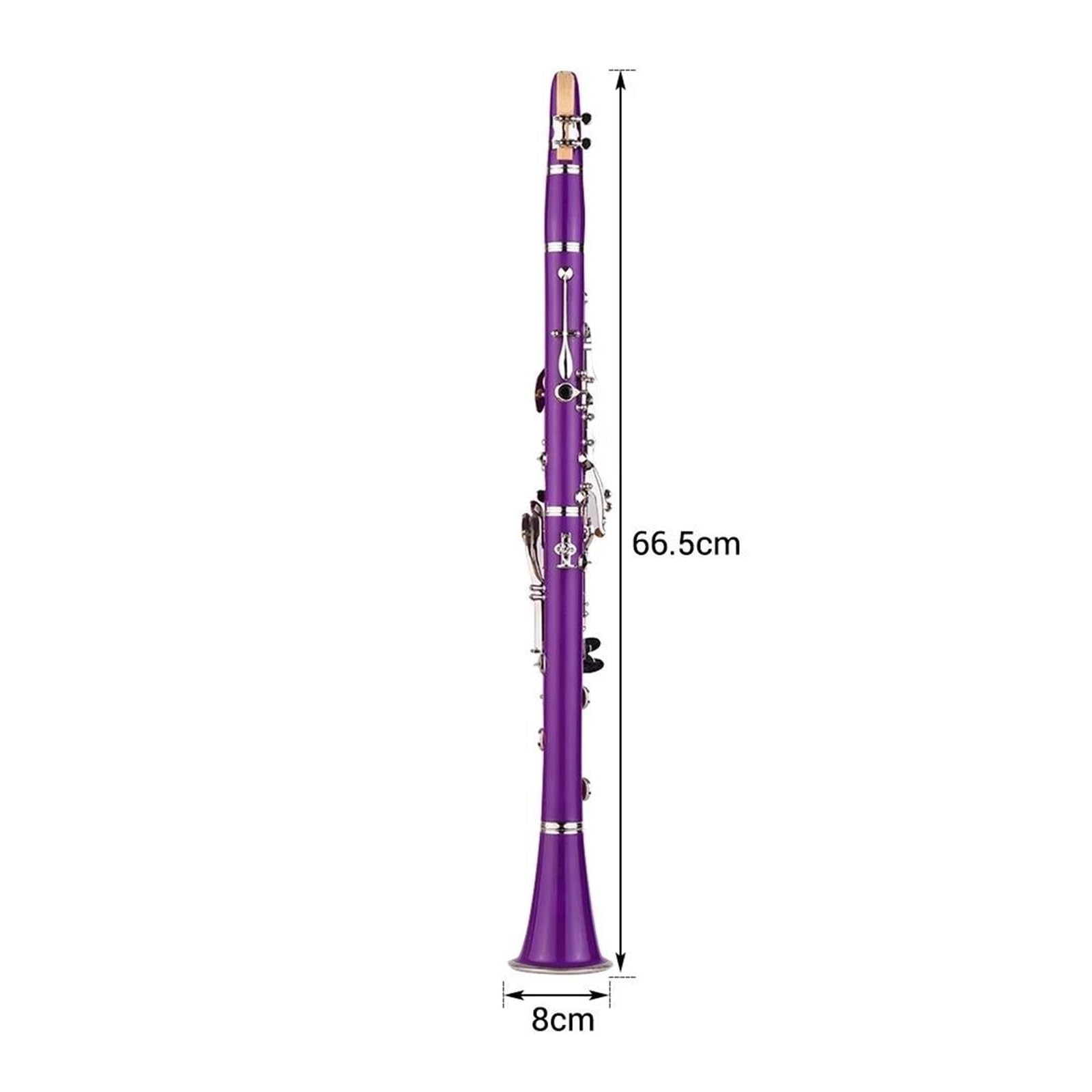 Professional Bb Clarinet with 17 Keys & Flat Reeds - Premium Woodwind Instrument for Beginners, Students, and Musicians - Perfect for Jazz, Classical, and Band Performances