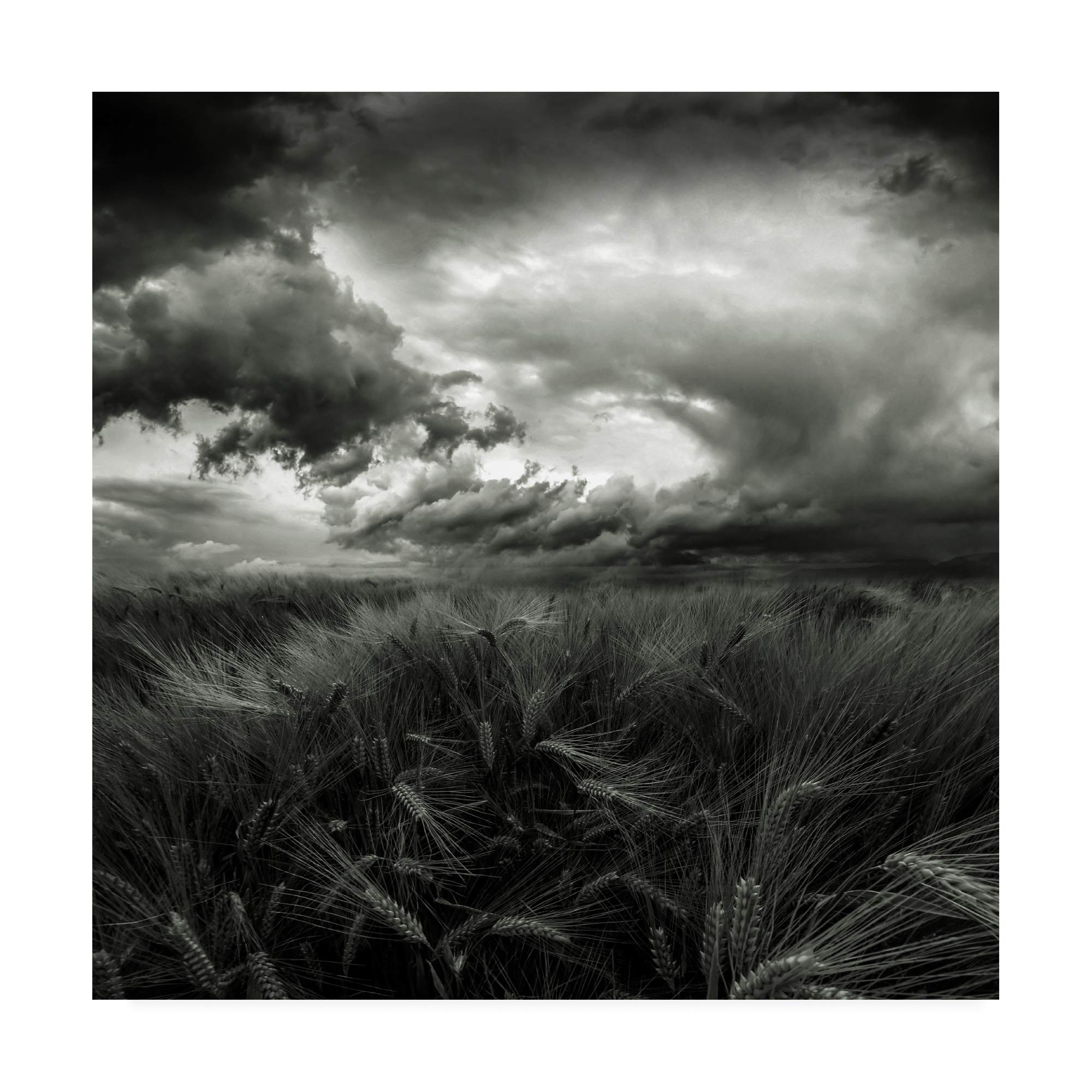 After The Storm Field by Franziskus Pfleghart - 18x18 Premium Canvas Wall Art - Handmade Landscape Painting for Living Room, Bedroom & Office Decor