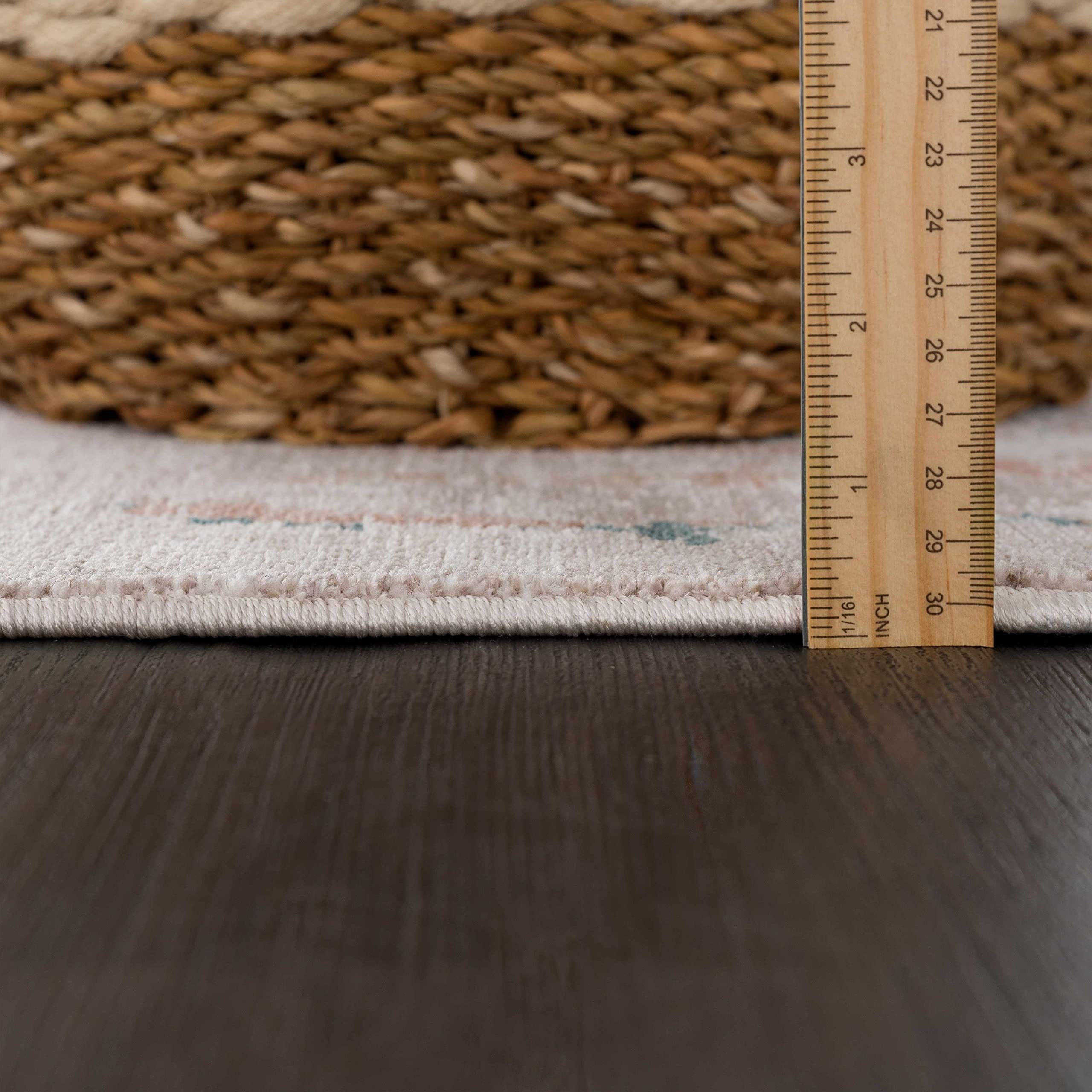 Hauteloom Danlugan Soft Area Rug for Living Room & Bedroom - 5'3