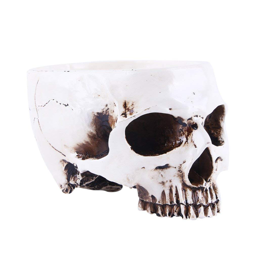 White Human Skull Shaped Flower Pot - Halloween Skeleton Planter Bowl for Tabletop Decor, Succulents & Home Garden