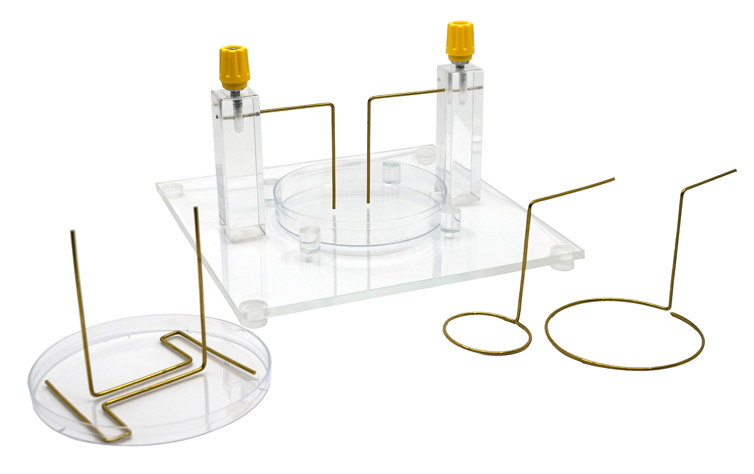 EISCO Electric Field Apparatus - Physics Lab Equipment for Demonstrating Electric Field Shapes & Lines | Perfect for Classroom Experiments, STEM Education & Science Demonstrations