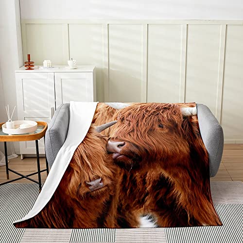 Cow 02