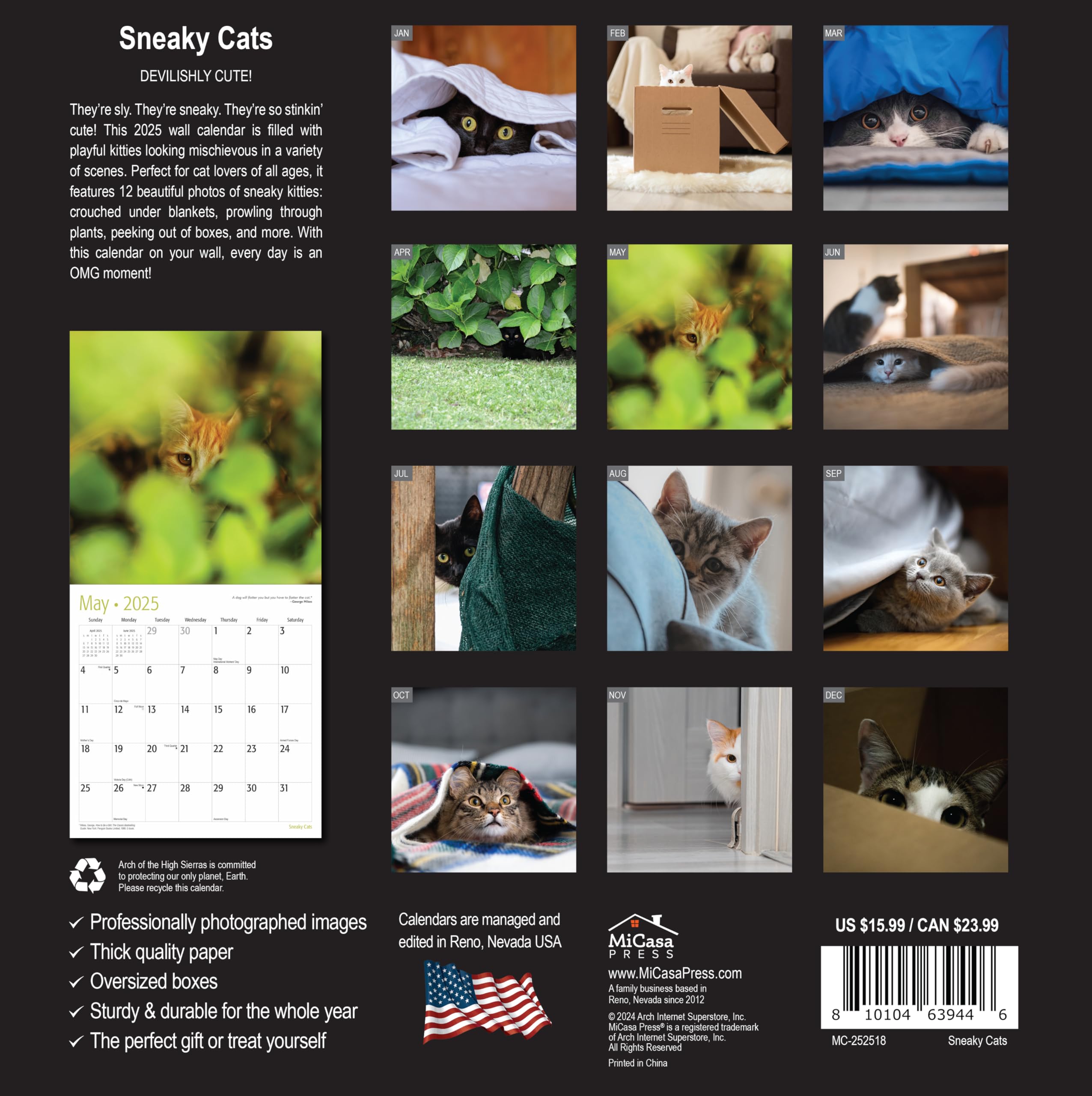 MICASA Sneaky Cats 2025 Wall Calendar - 12 Month Funny Cat Calendar (12