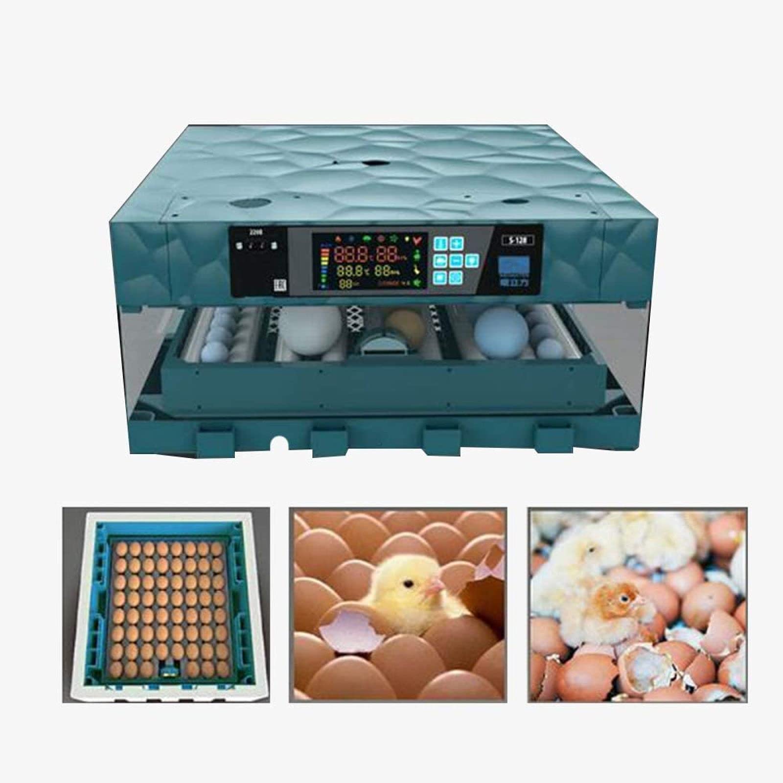 BYCDD 36 Egg Digital Automatic Incubator with Turner - Ideal for Hatching Chicken, Turkey, Goose & Quail Eggs - Built-in Egg Candler Tester - Perfect for Home Poultry Farming & Classroom Science Projects
