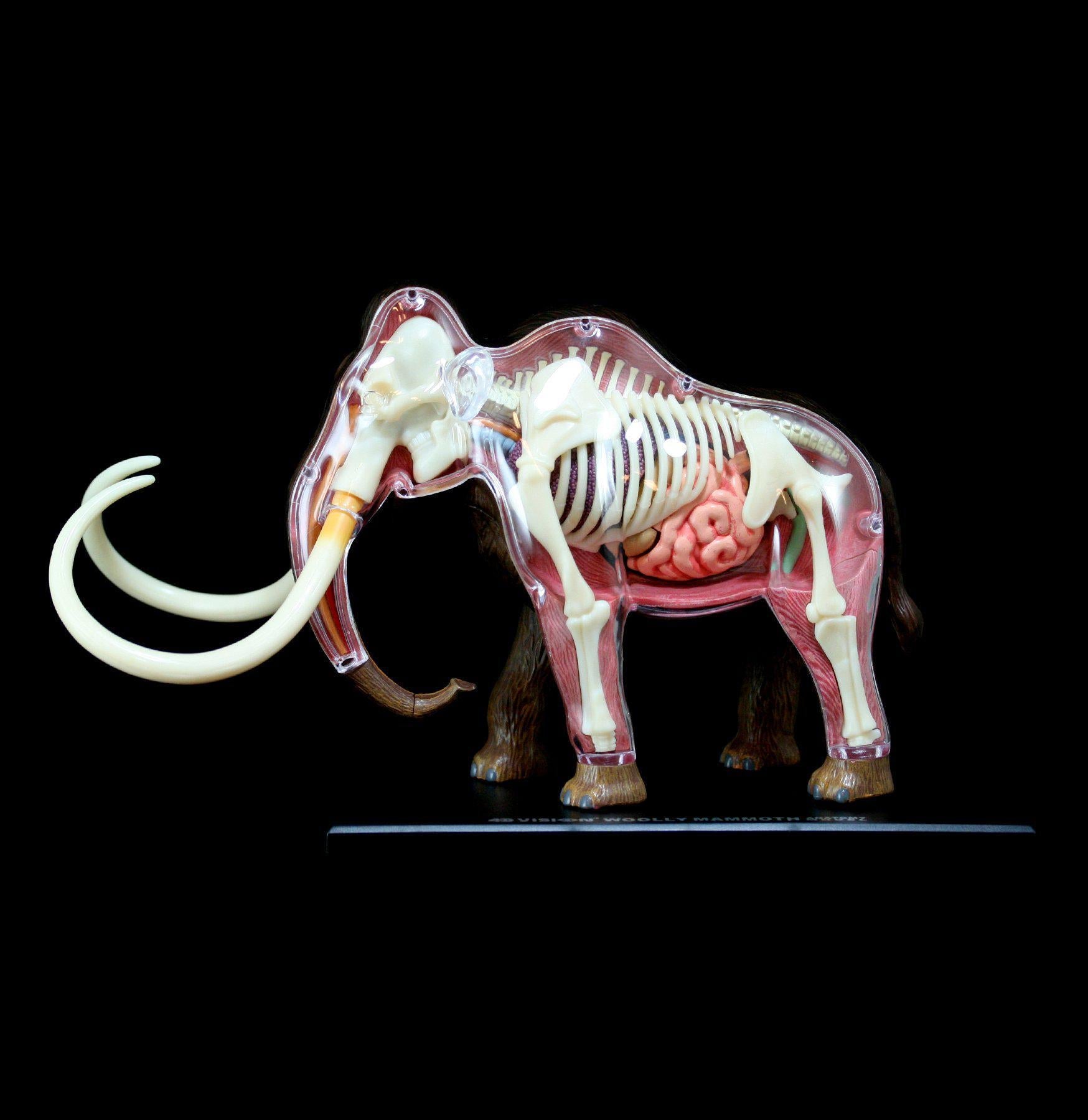 4D Woolly Mammoth Model Kit - Realistic Prehistoric Animal Puzzle for Kids & Adults - Perfect for Science Education, Home Decor & Gift Giving