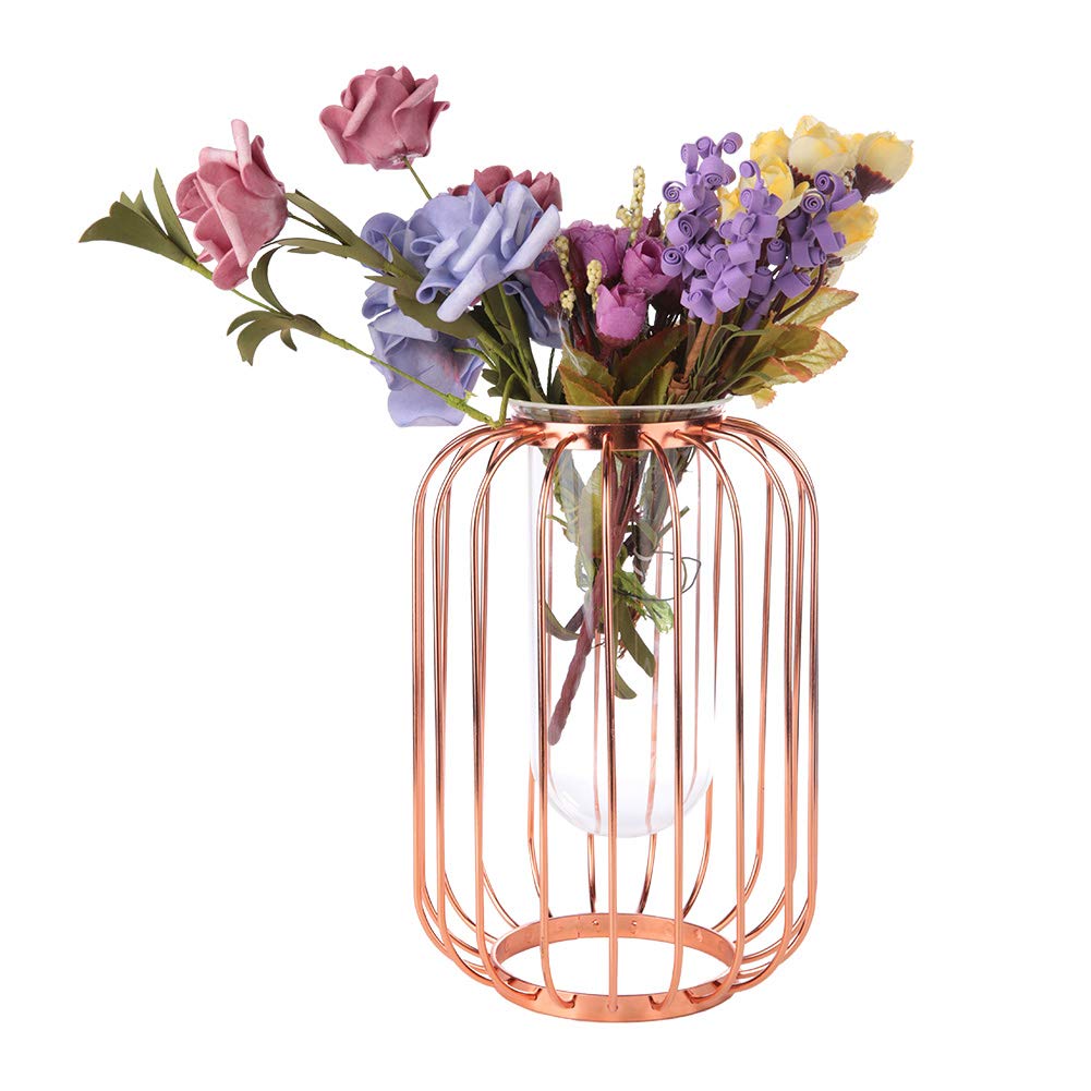 Yuehuam Iron Art Flower Vase with Terrarium Planter - Clear Glass Tabletop Display Holder for Home Decor, Wedding Centerpiece & Holiday Party Decorations - Perfect for Living Room, Dining Table & Office Desk Decor