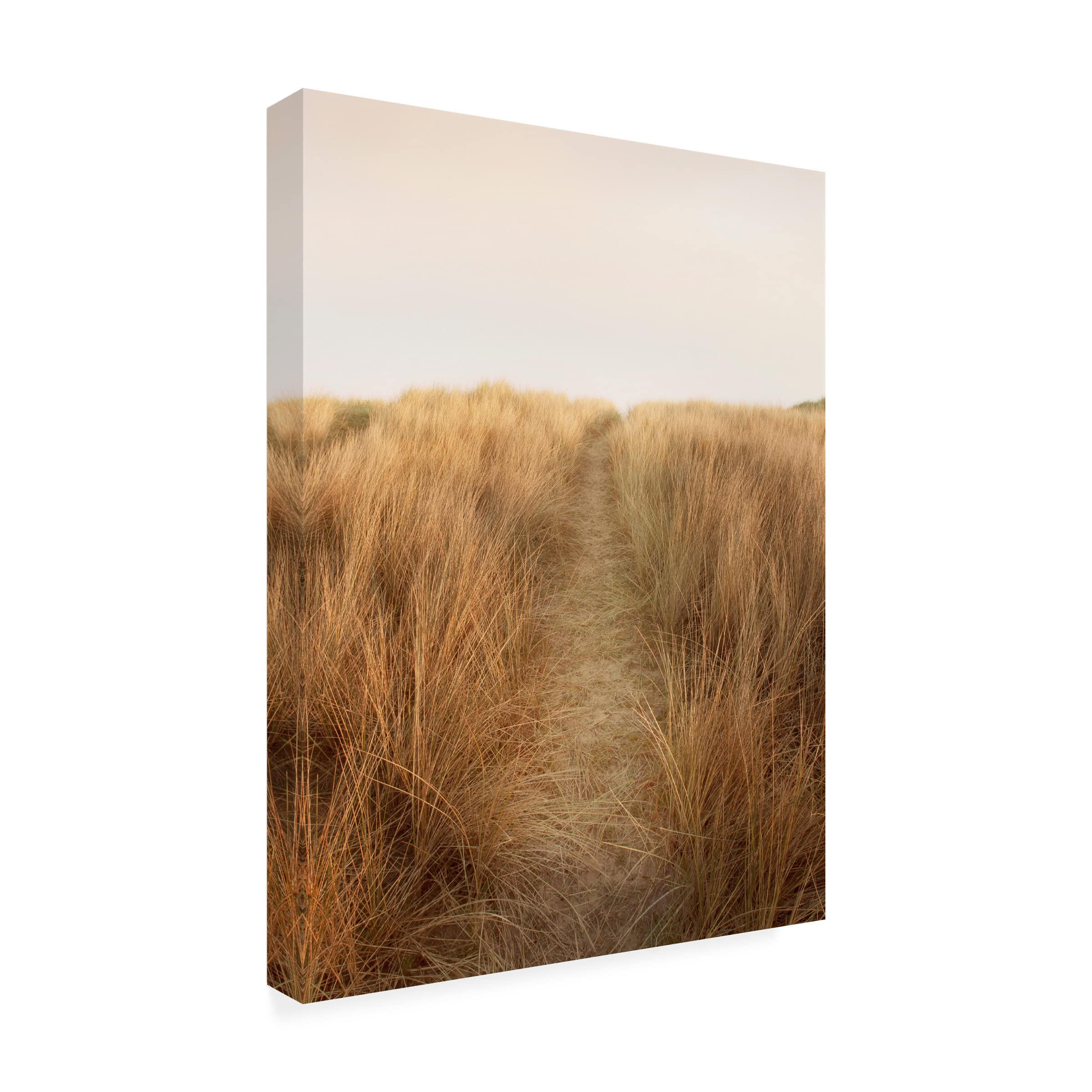 Trademark Fine Art 'Dunes with Seagulls 6' by Ian Winstanley - Stretched Canvas Wall Art for Living Room, Bedroom & Office Decor