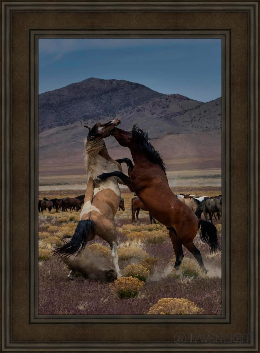Desert Duel 1 by Greg Sargent - Western Adventure Novel for Adults | Perfect for Book Clubs, Gifts & Western Fiction Fans