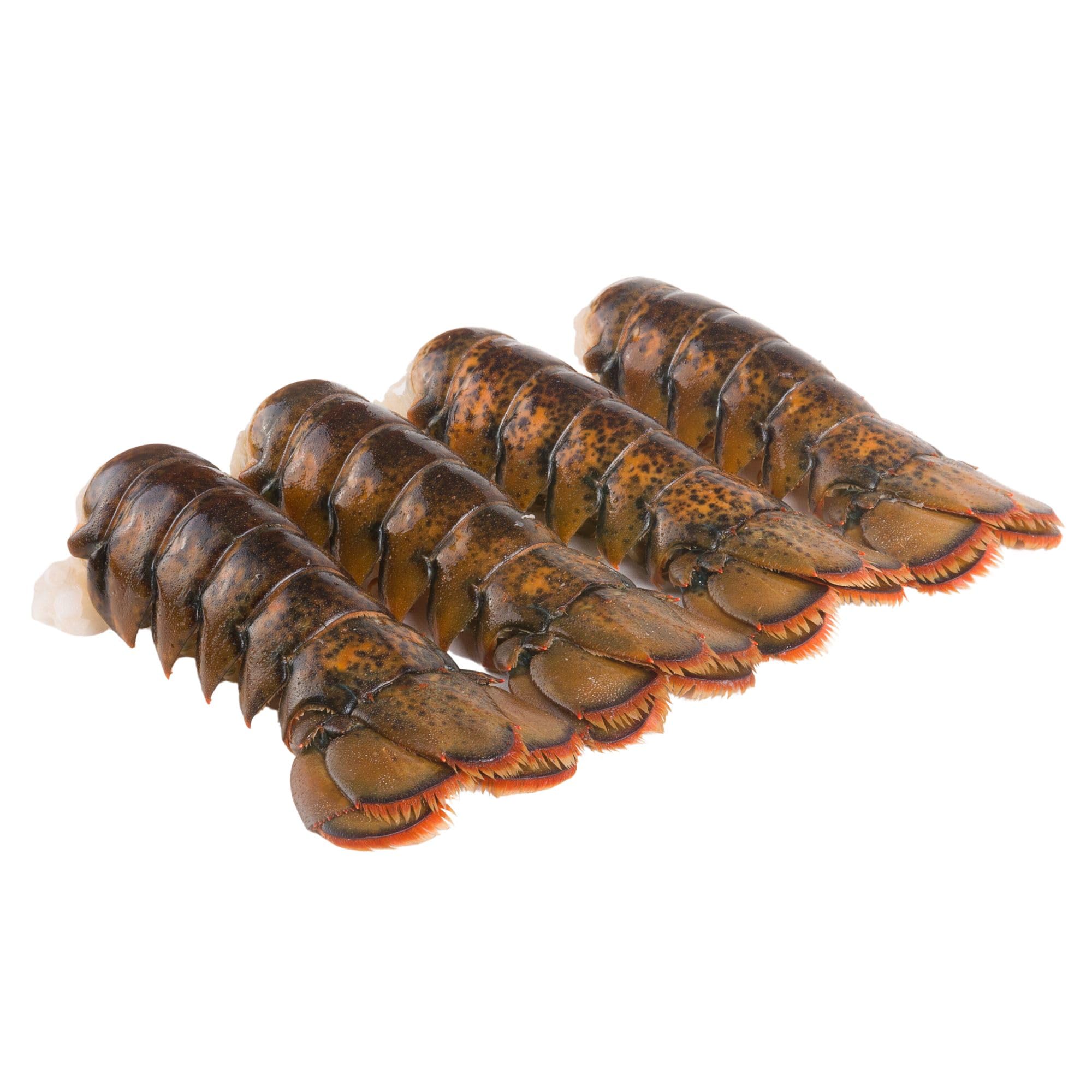Premium Maine Lobster Tails 12-14oz (4 Pack) – Fresh Frozen Seafood for Gourmet Cooking, Special Occasions & Fine Dining at Home