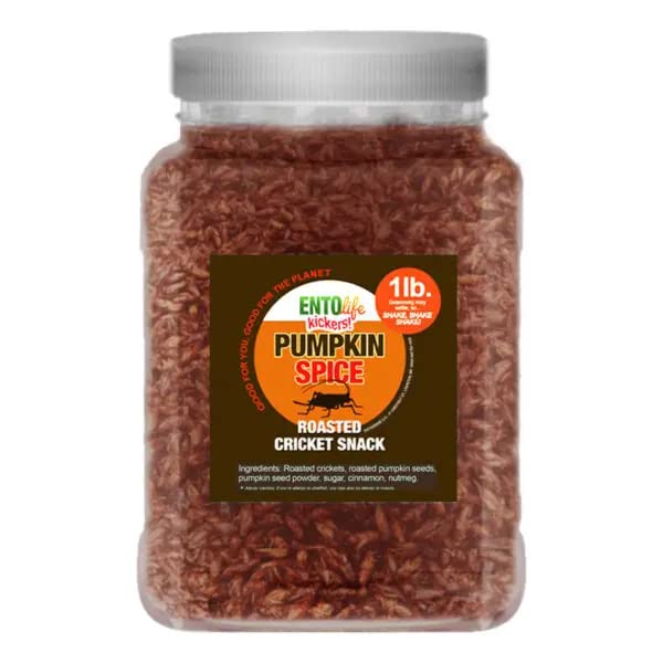 Organic Pumpkin Spice Flavored Edible Cricket Snacks - 1 Pound Bag - High-Protein Sustainable Food - Perfect for Hiking, Camping & Keto Diet Snacks