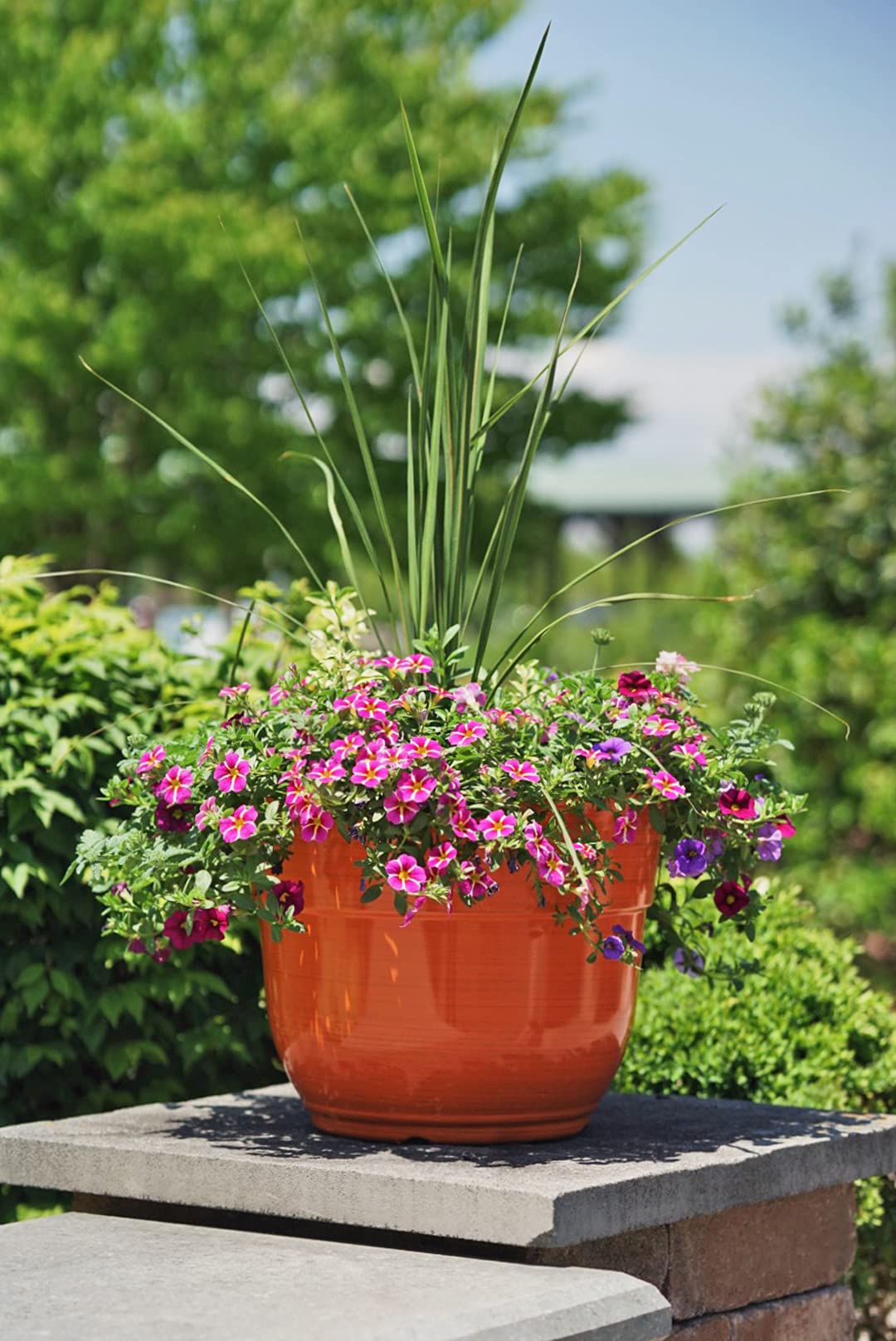Happy Plastic Planter Set of 2 - 15