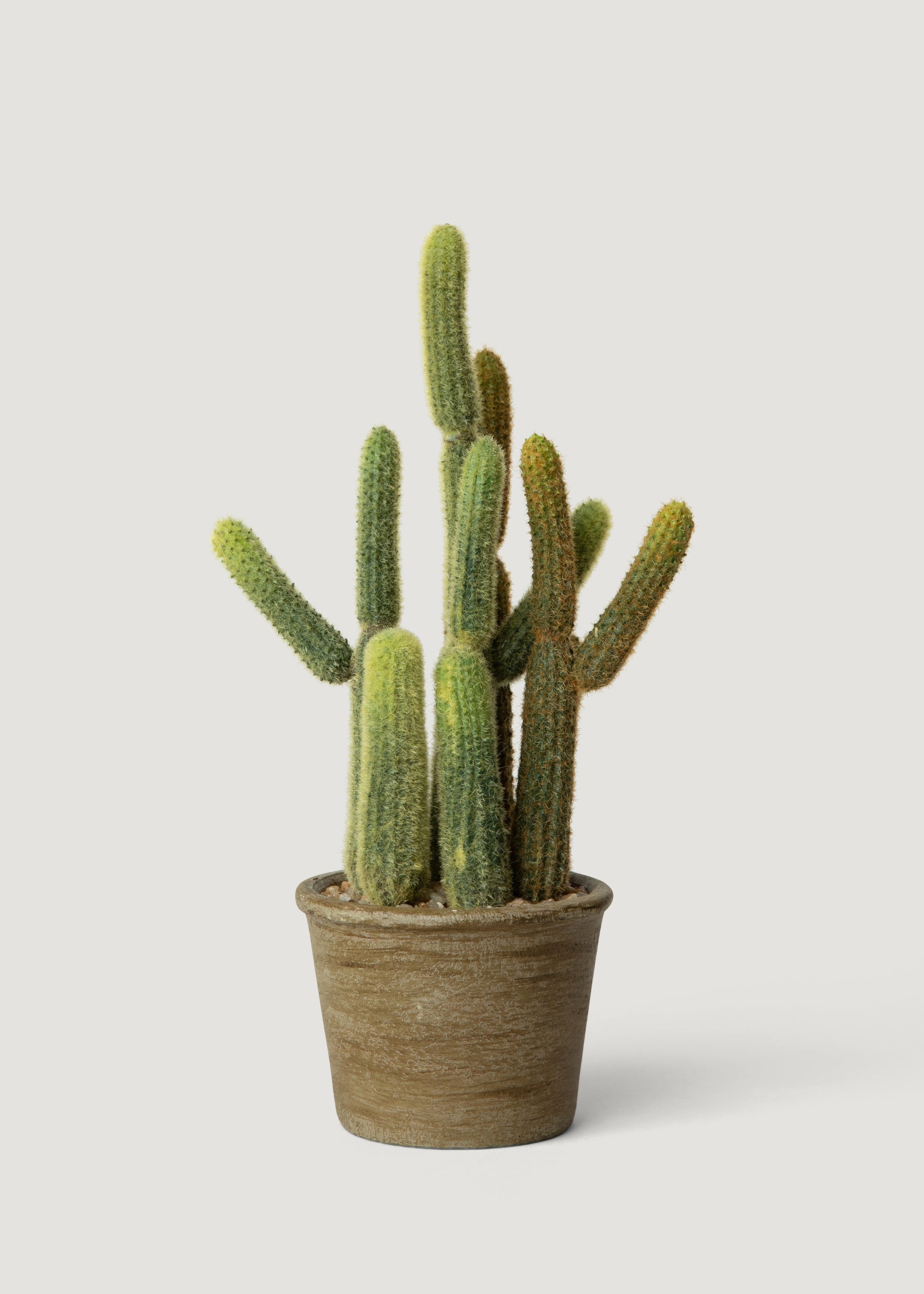Realistic Artificial Cactus Plant in Pot - 11