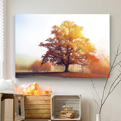 Glowing Warmth