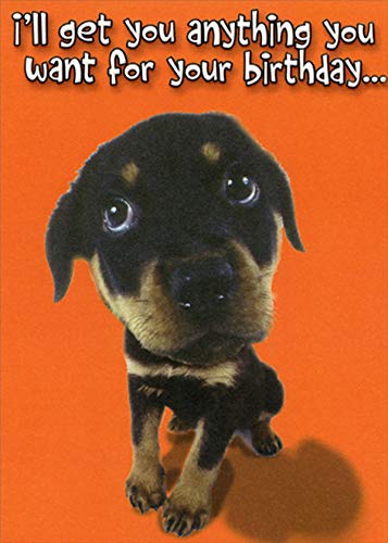 Funny Dog Birthday Card - Brown and Black Puppy Humorous Greeting Card for Pet Lovers | Perfect for Dog Owners, Puppy Parties & Animal-Themed Celebrations