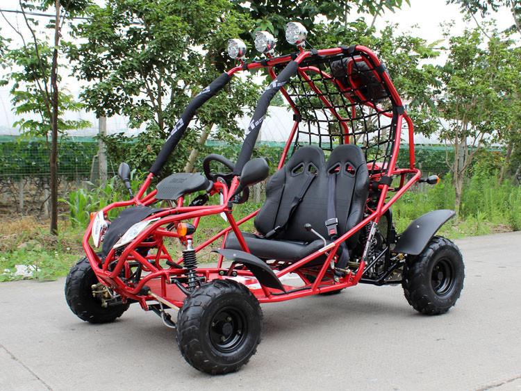 110cc Venom Go Kart DF125GKA - Automatic Transmission Dirt Buggy for Adults & Teens | Off-Road Racing, Backyard Fun, Trail Adventures