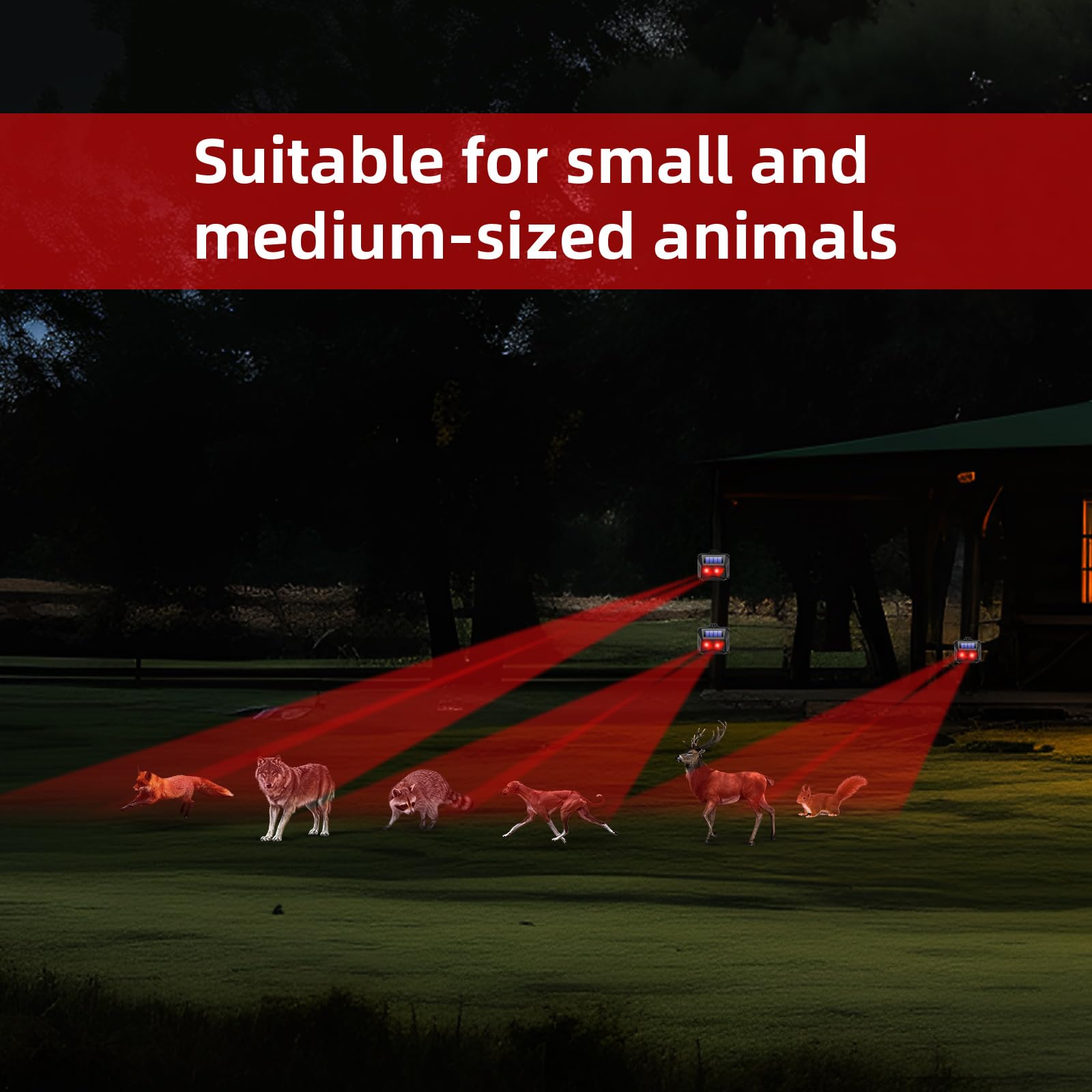 8 Pack Solar Powered Animal Repellent Lights - Outdoor Coyote Deterrent for Yard & Garden Protection | Effective Nocturnal Pest Control for Deer, Fox, Raccoon, Skunk | Predator Lights for Chicken Coop, Farm, Backyard & Outdoor Spaces | Weatherproof & Eco-Friendly Solar Solution