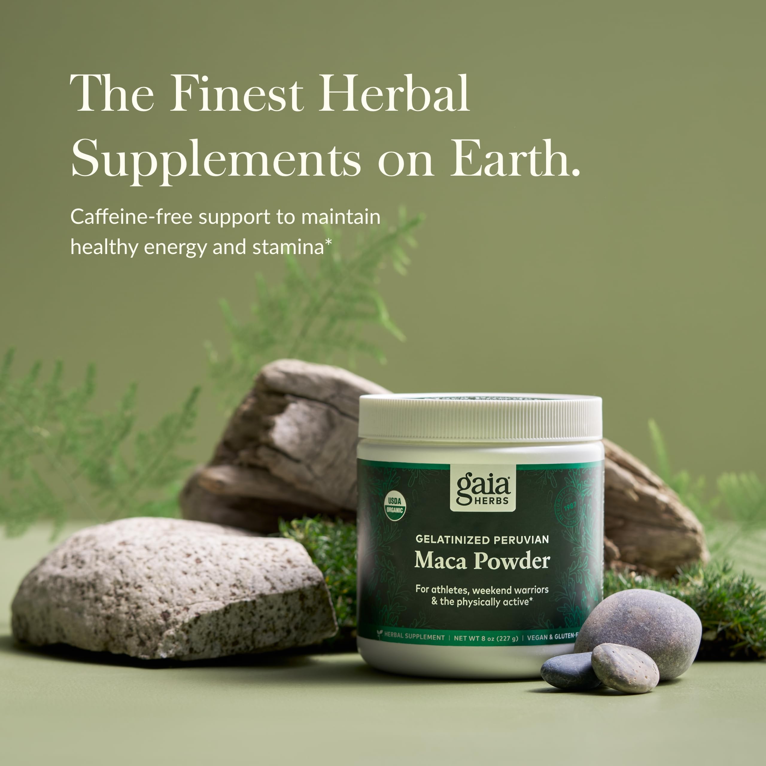 Gaia Herbs Organic Maca Root Powder - USDA Certified Energy & Stamina Supplement - 8oz (69-Day Supply) - Natural Performance Booster for Athletes & Busy Professionals - Supports Healthy Vitality & Endurance