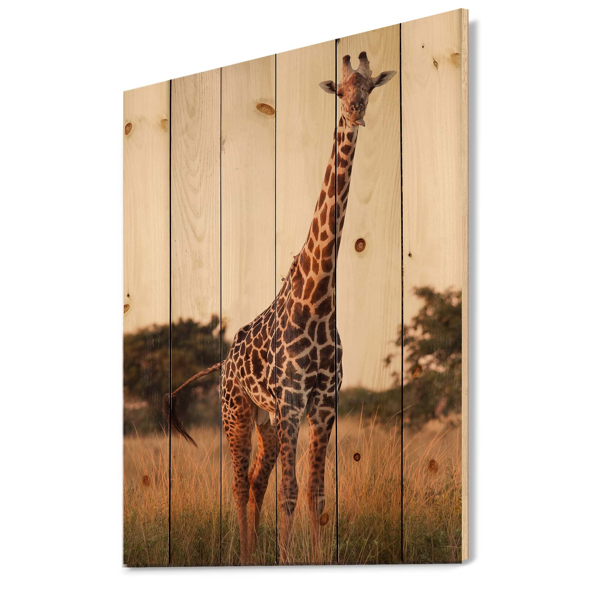 DesignQ African Giraffe in the Wild - Rustic Farmhouse Wood Wall Decor, Brown Wood Wall Art, Large Animal Wood Panel Printed on Natural Pine - Perfect for Living Room, Nursery & Safari-Themed Home Decor