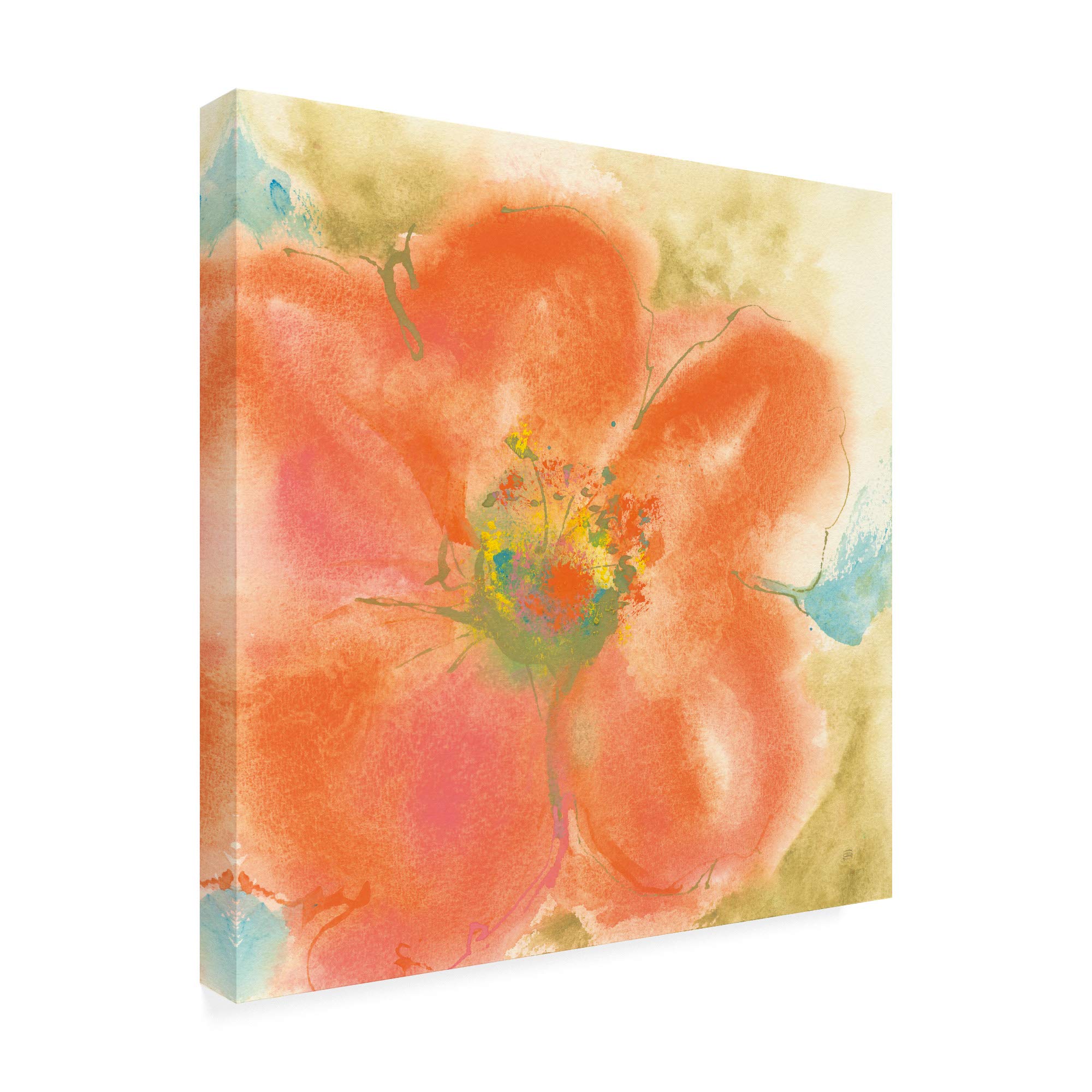 Trademark Fine Art 18x18 Coral Poppy II by Chris Paschke - Floral Wall Art for Living Room, Bedroom & Office Decor