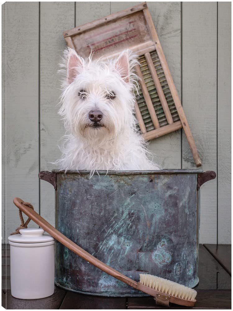 Washing the Dog Fine Art Canvas Wall Decor by Edward M. Fielding - 24x32 Inch Ready to Hang Painting for Living Room, Bedroom, Office & More - Perfect for Pet Lovers & Home Decor