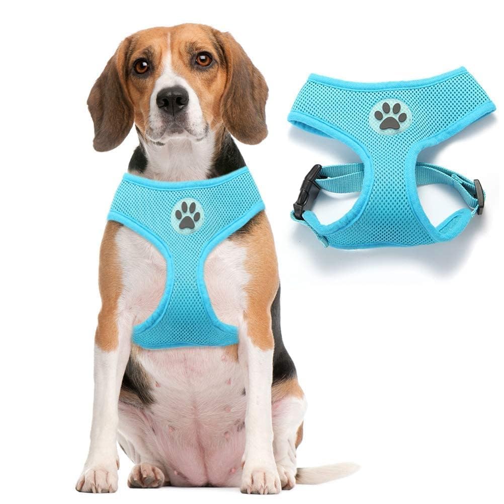 BINGPET Small Dog Harness - Breathable Mesh No Pull Adjustable Vest for Puppies & Medium Dogs - Perfect for Walking, Training & Outdoor Adventures