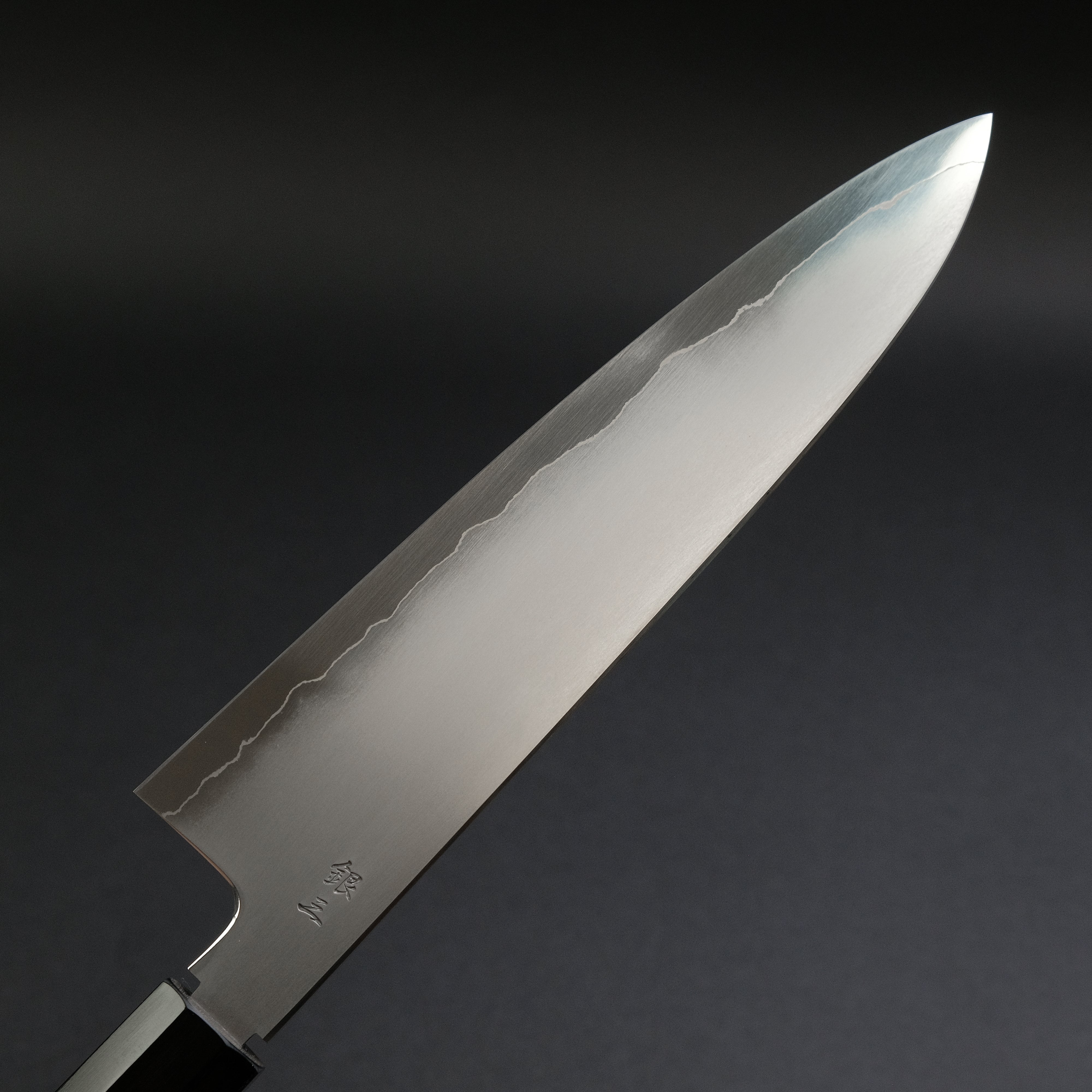 Premium Tetsujin Silver #3 Kasumi Gyuto 210mm Japanese Chef Knife with Taihei Tagayasan Handle - Perfect for Sushi, Meat Slicing & Professional Kitchen Use
