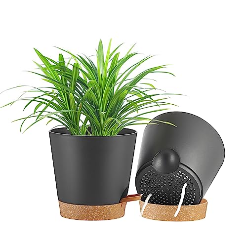 Black With Terracotta