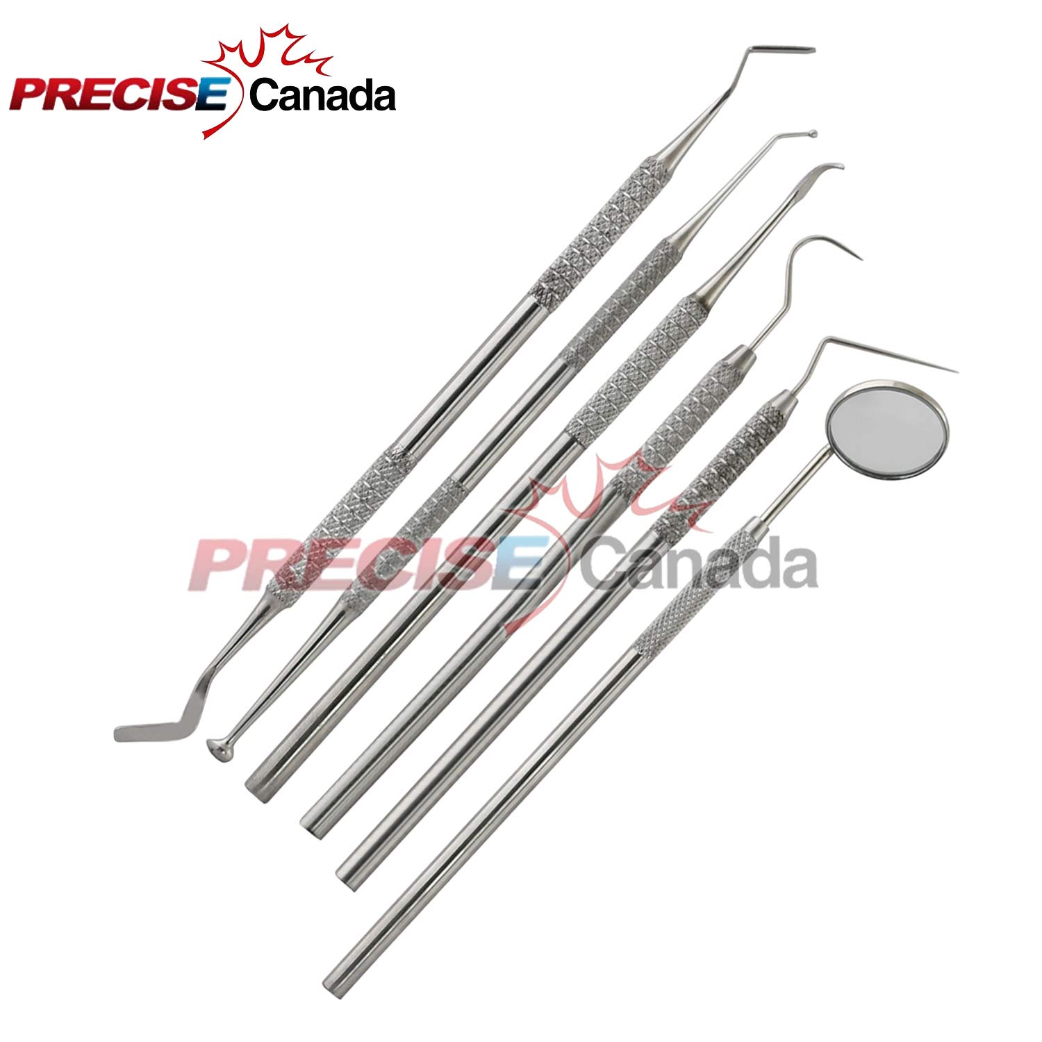 Upgraded 6-Piece Stainless Steel Dental Scaler Kit - Teeth Cleaning & Plaque Remover Tools for Home Oral Care