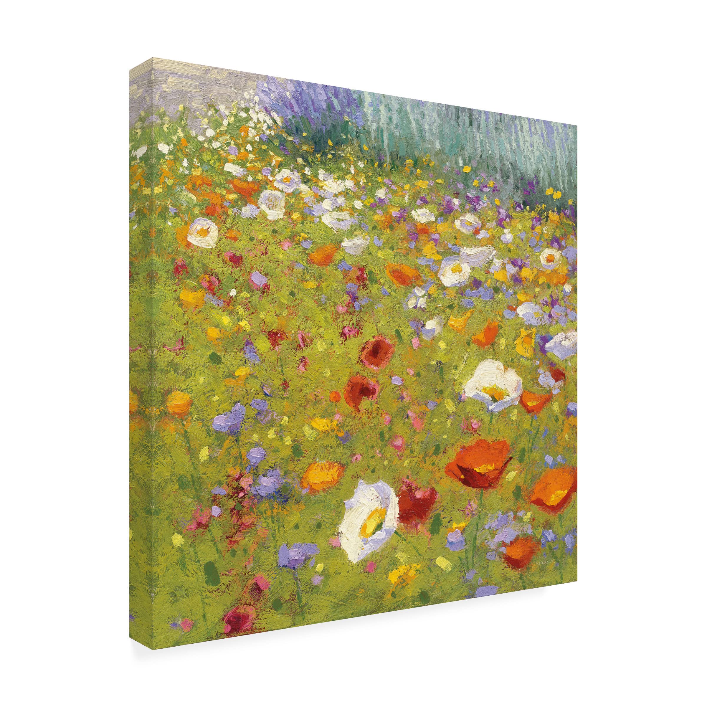 Trademark Fine Art 'Champ de Fleur II' Canvas Wall Art by Shirley Novak - Floral Landscape Painting for Living Room, Bedroom & Office Decor