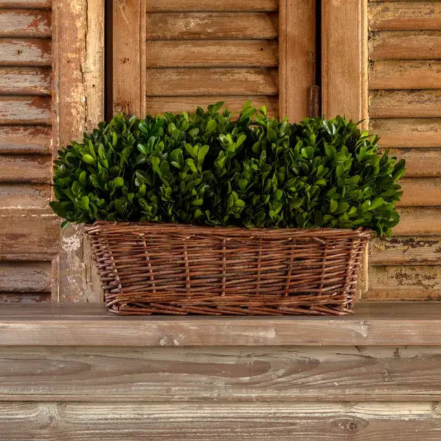Large Preserved Boxwood Hedge in Basket - Artificial Topiary for Home & Office Decor - Perfect for Indoor and Outdoor Use