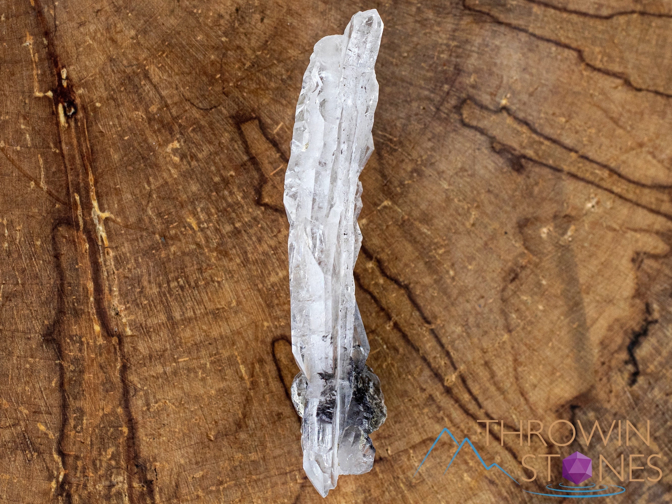 Natural Calcite Included Faden Quartz Raw Crystal Cluster - Healing Stone for Home Decor, Meditation & Energy Work | Garden Quartz Specimen for Spiritual Healing & Chakra Balancing