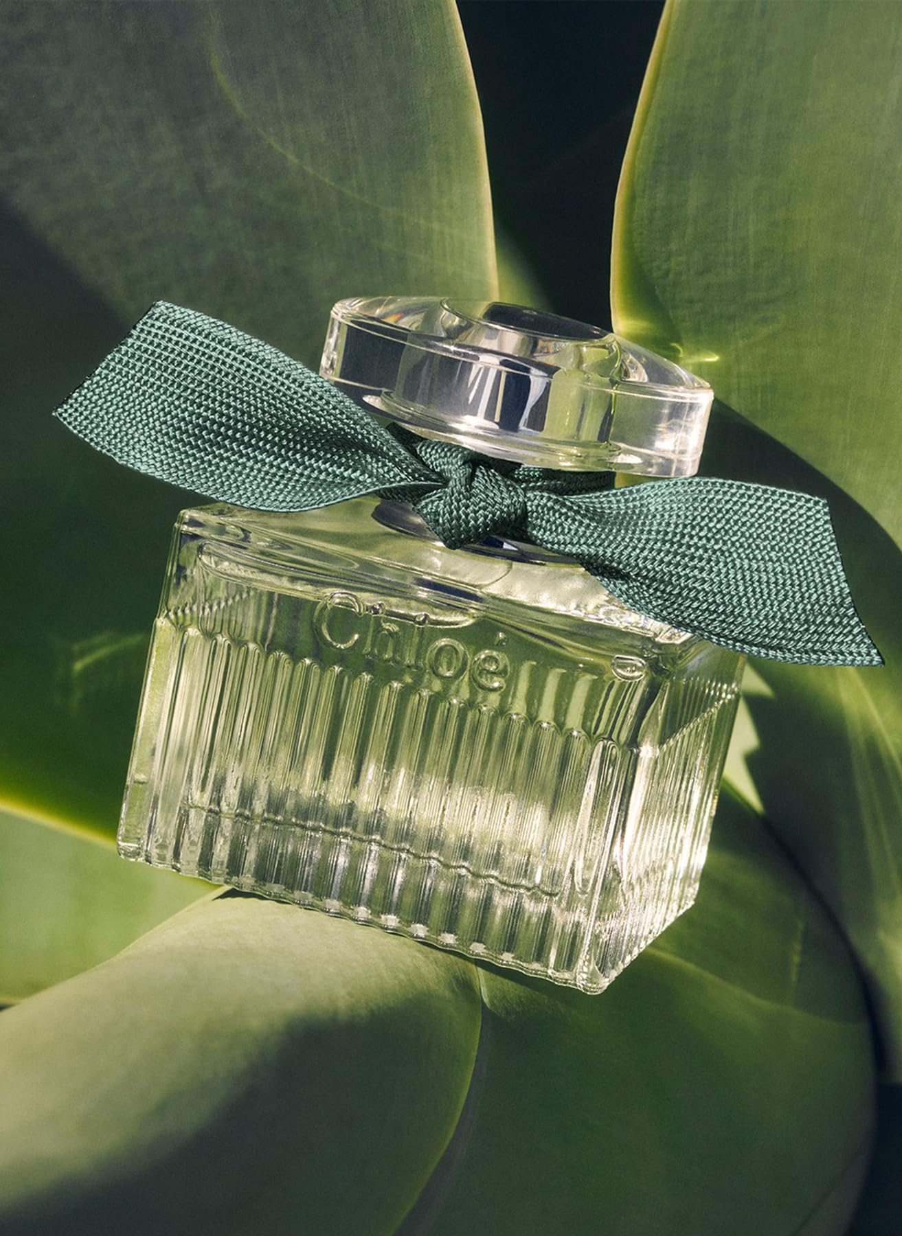 Chloe Rose Naturelle Intense Perfume for Women - 1.6 oz Eau de Parfum Spray | Floral Fragrance for Date Night & Special Occasions