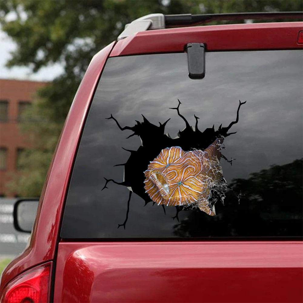 Realistic Psychedelic Frogfish Car Decals - Pack of 2 Ocean Animal Stickers (10