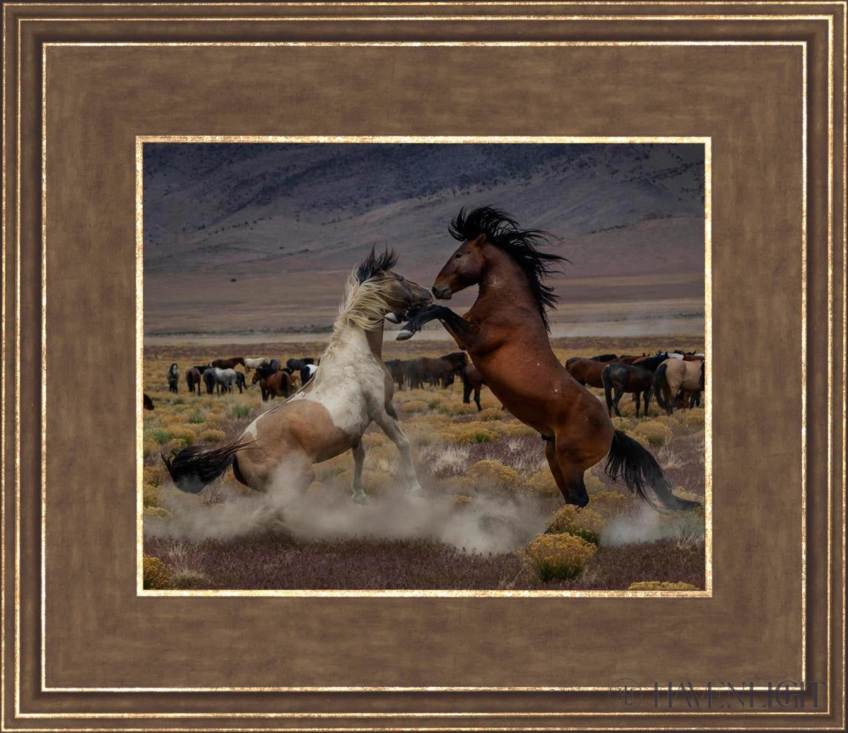 Desert Duel 5 by Greg Sargent - Western Action Novel - Perfect for Book Clubs & Cowboy Adventure Fans