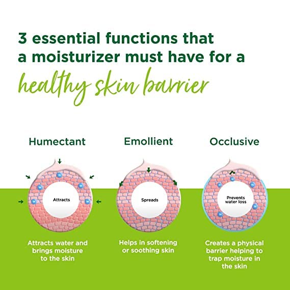 Koffeco 100 ML Green Tea & Chamomile Face Moisturizer for Acne Prone & Oily Skin - Hydrating Face Cream with Shea Butter for Women - Daily Skincare for Clear & Balanced Skin