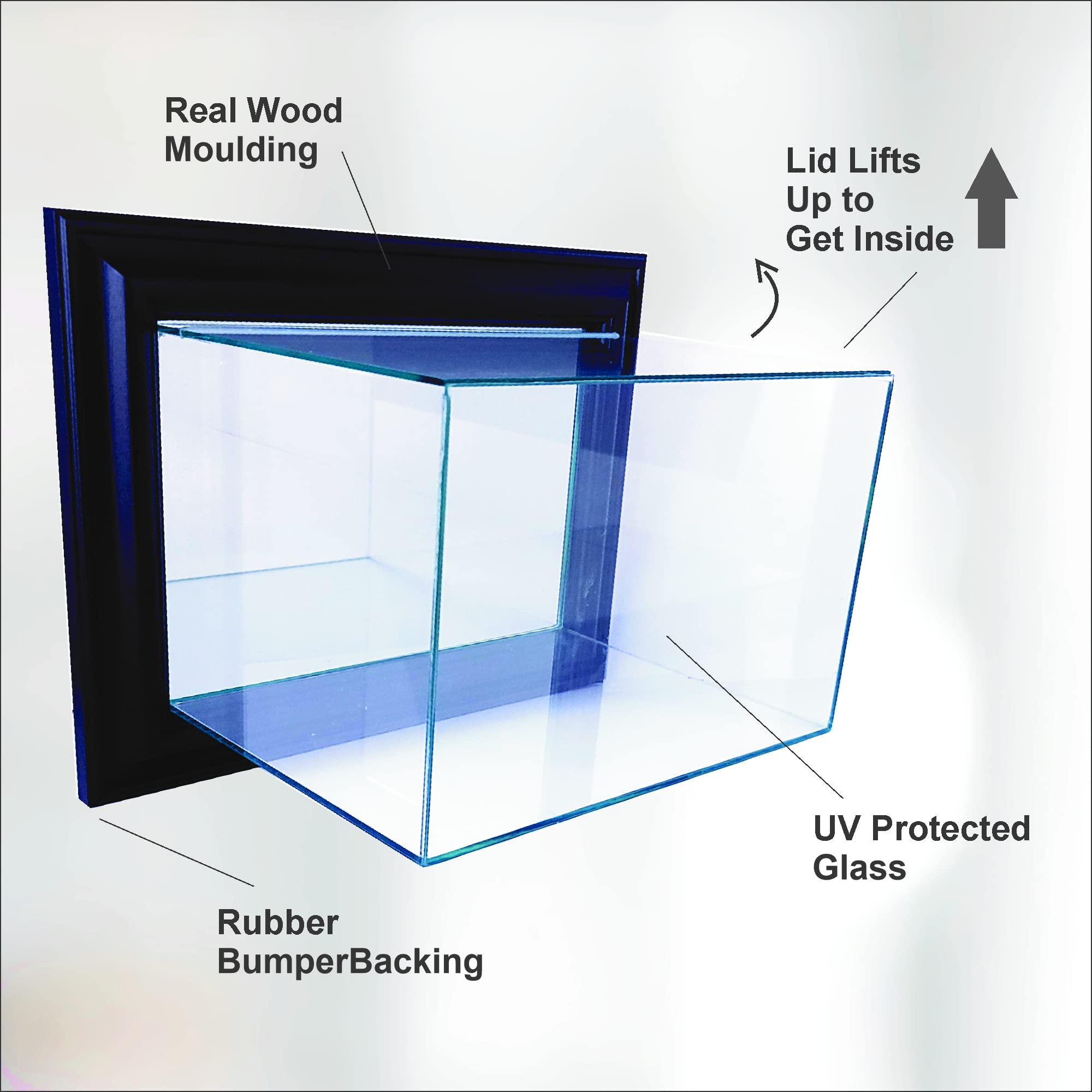 MLB Wall Mounted Double Baseball Display Case - Premium Glass Showcase for Collectibles & Memorabilia - Perfect for Home, Office, or Sports Bar Decor
