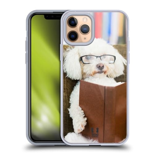 Reader Dog With Glasses