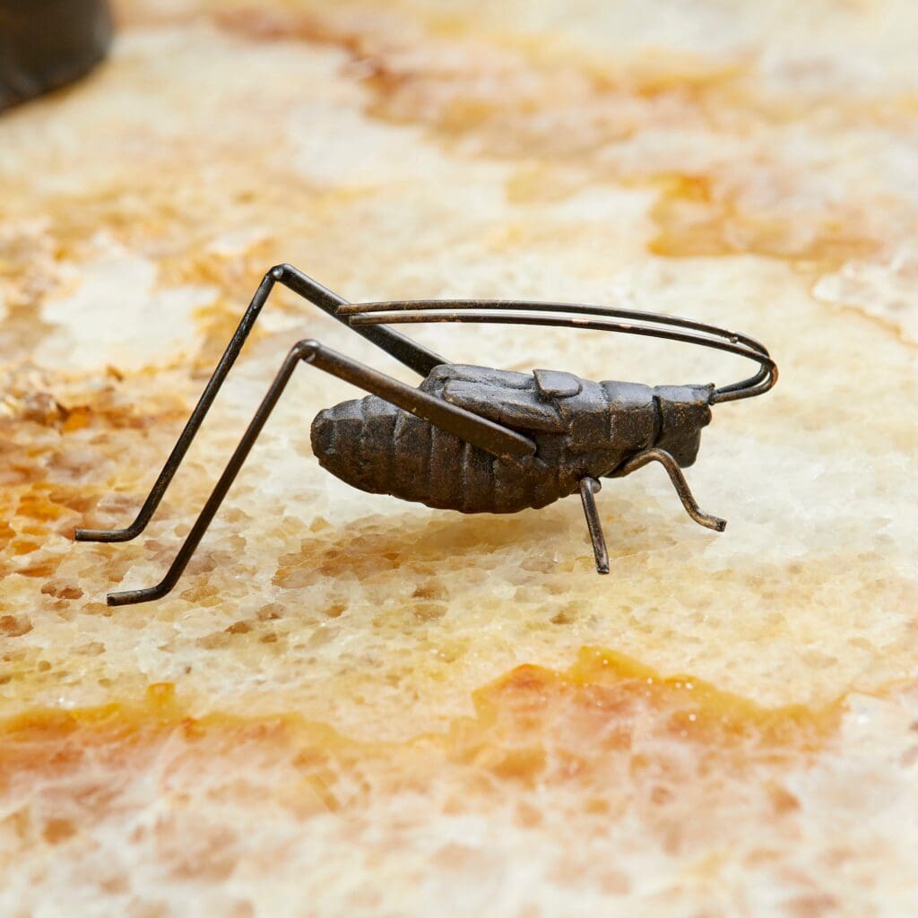 Cyan Design 04351 Cricket Sculpture in Raw Steel - Modern Home Decor for Living Room, Office & Garden