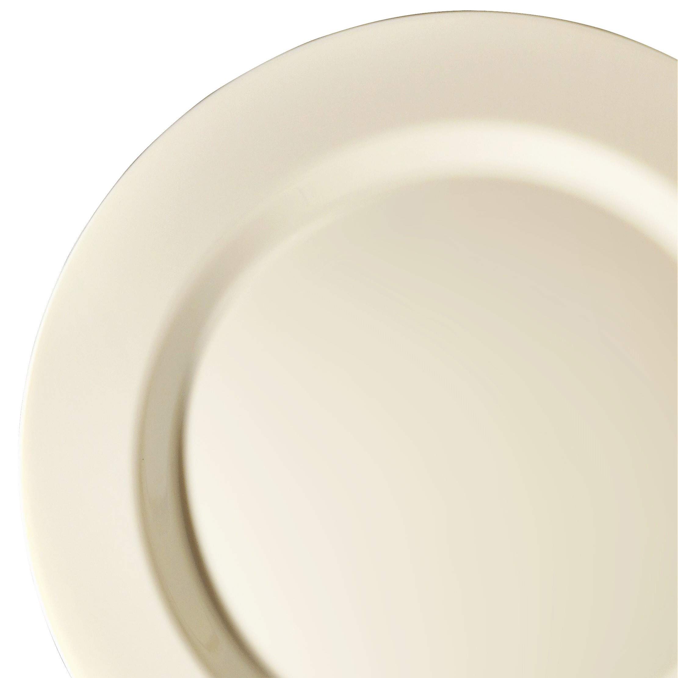 720-Piece Wedding Disposable Plastic Plate & Silverware Set (120 Guests) - 10.5