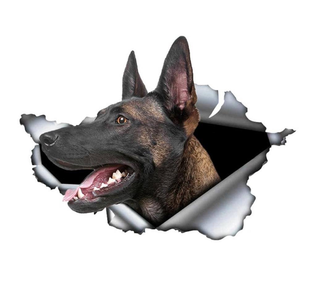 Funny Belgian Malinois Dog Car Sticker - 15Cm 3D Torn Metal Decal | Waterproof & Reflective Belgian Shepherd Pet Decal for Cars, Trucks, Windows | Perfect for Dog Lovers & Car Enthusiasts