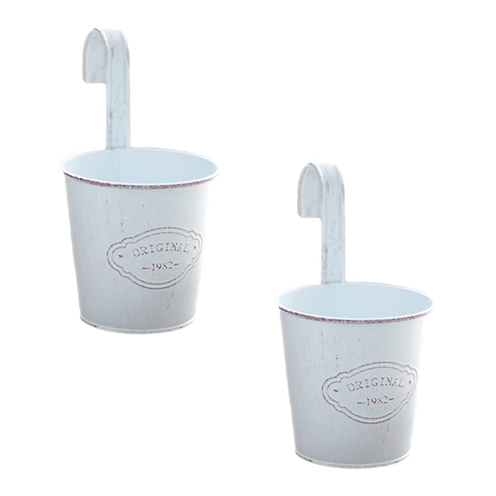 Hemoton 2-Pack Indoor Hanging Planters - Metal Wall Mounted Flower Pots for Balcony, Fence & Home Decor | Farmhouse Style Iron Plant Holders for Succulents, Herbs & Small Plants | Perfect for Railing, Garden & Indoor Greenery