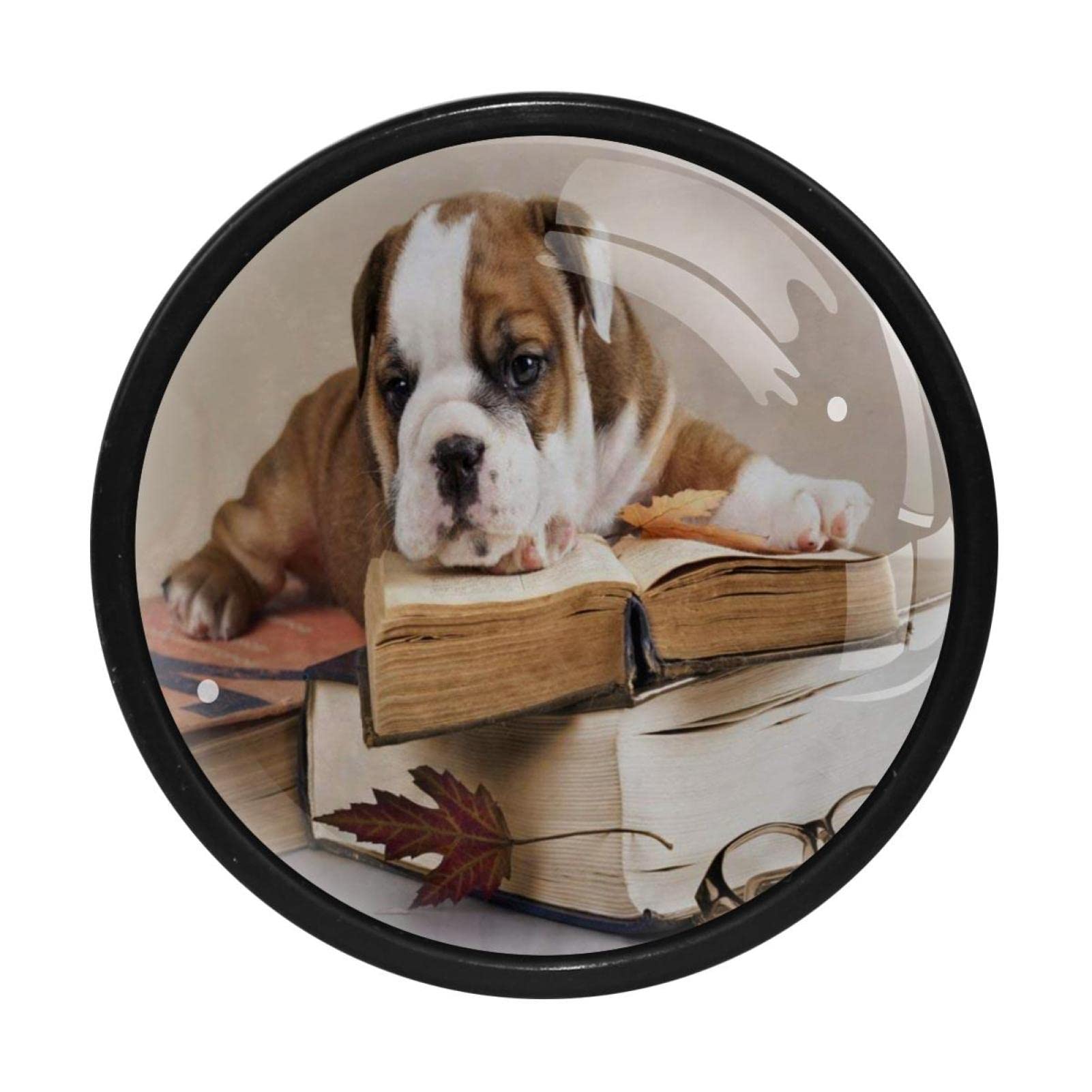 GIAPB 4Pcs Cabinet Handles - Vintage Bulldog Puppy with Books Drawer Knobs for Dresser, Cabinet & Furniture (Perfect for Kids Room, Nursery & Pet Lover Home Decor)